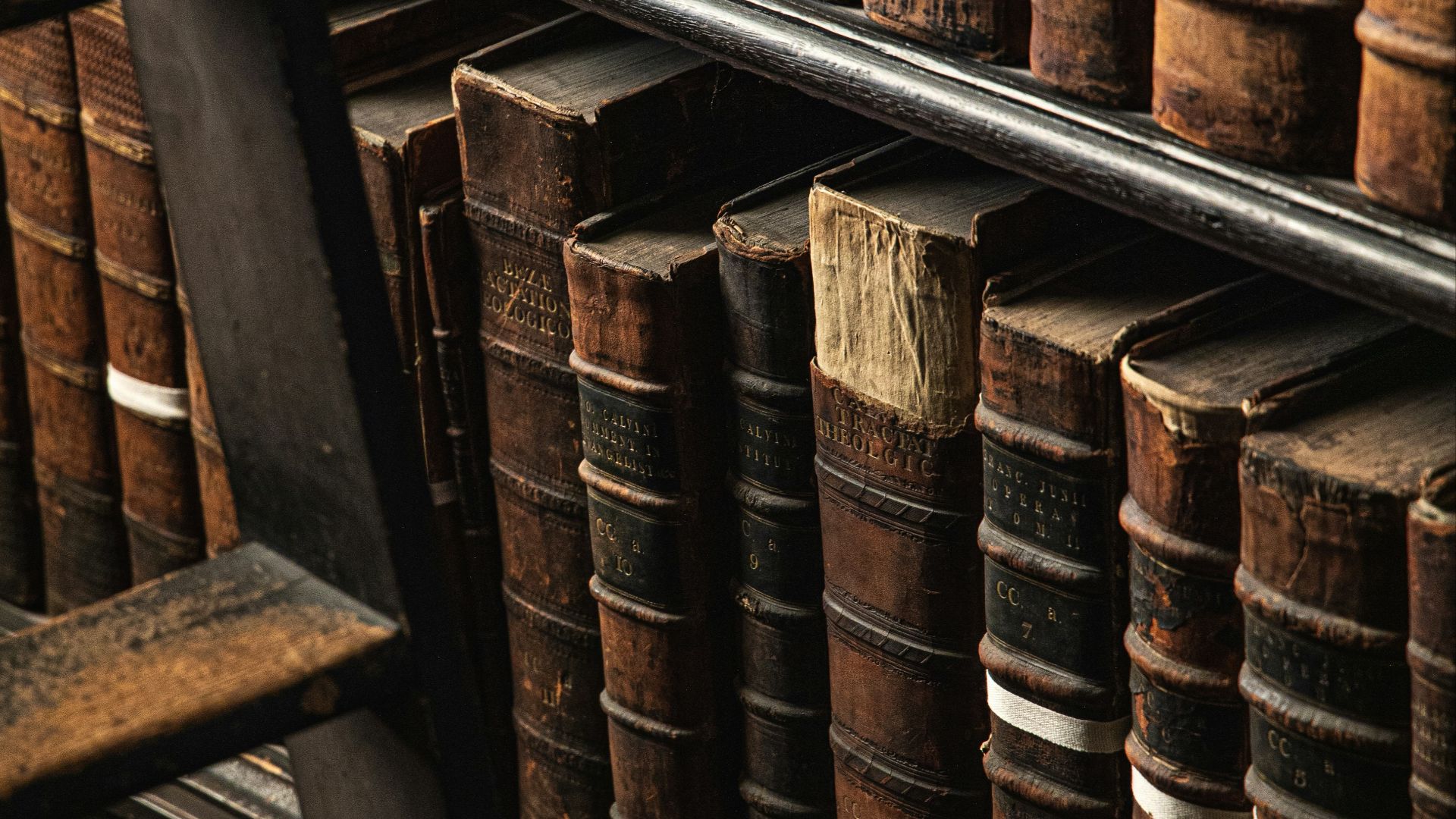 Vous êtes novice en histoire ? Voici 20 auteurs à découvrir