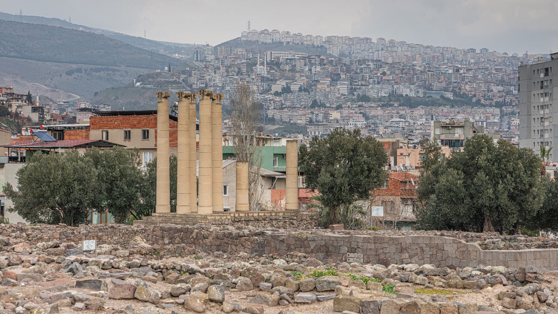 3. Son lieu de naissance fait l'objet d'un vif débat