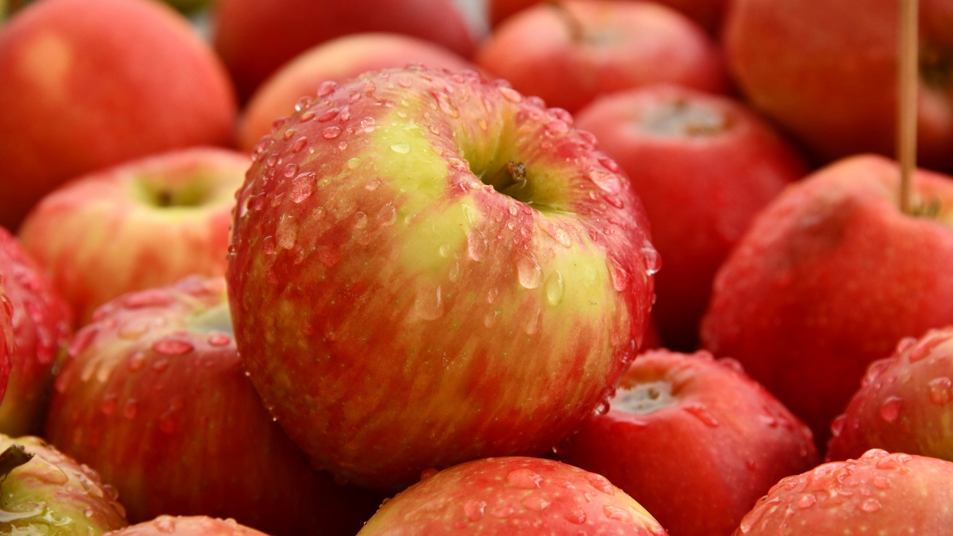 4. Résidus de pesticides sur les fruits et légumes