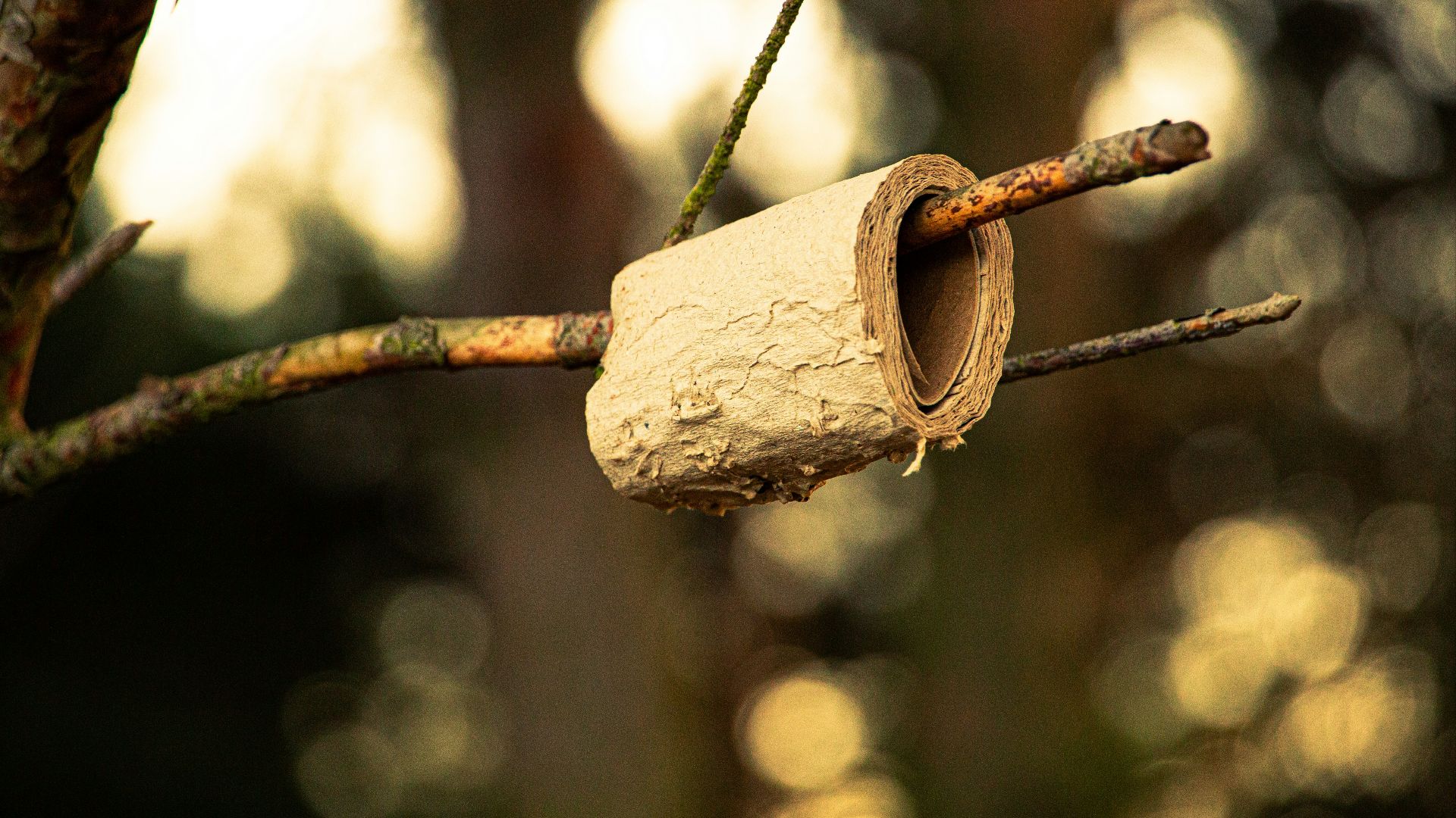 16. Votre vessie contient moins et se plaint plus vite