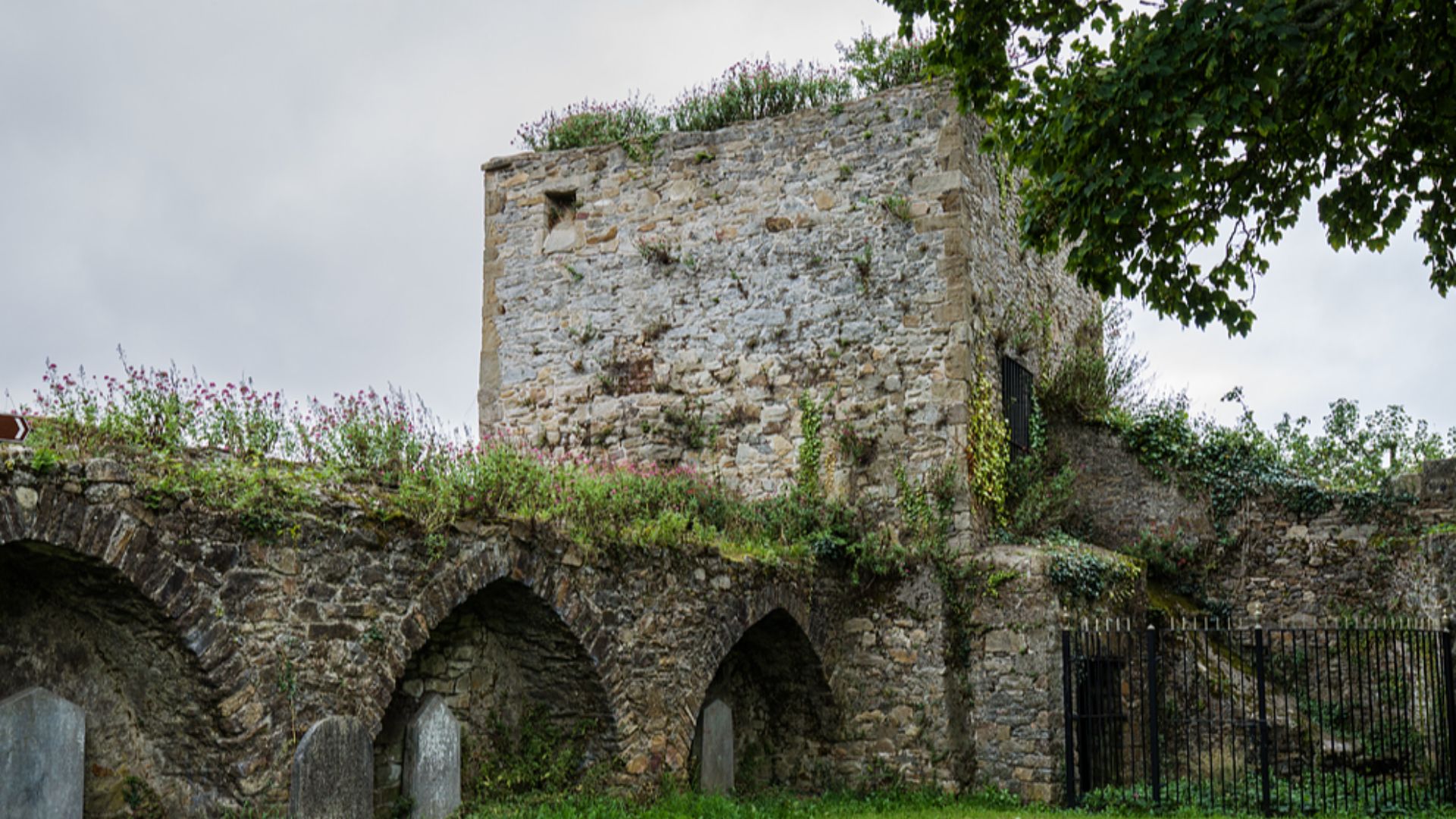 1. 1777 Code irlandais