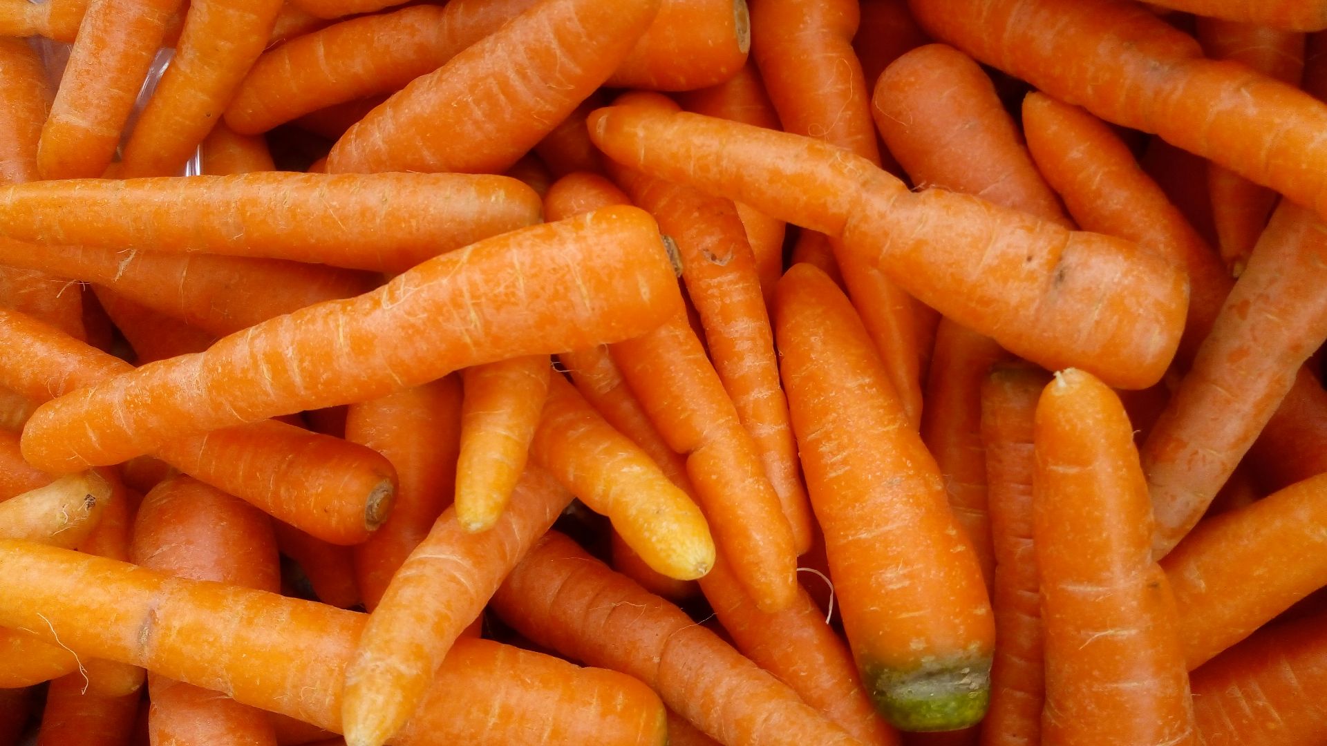 15. Les compléments alimentaires à base de bêta-carotène ont eu un effet contraire chez les fumeurs