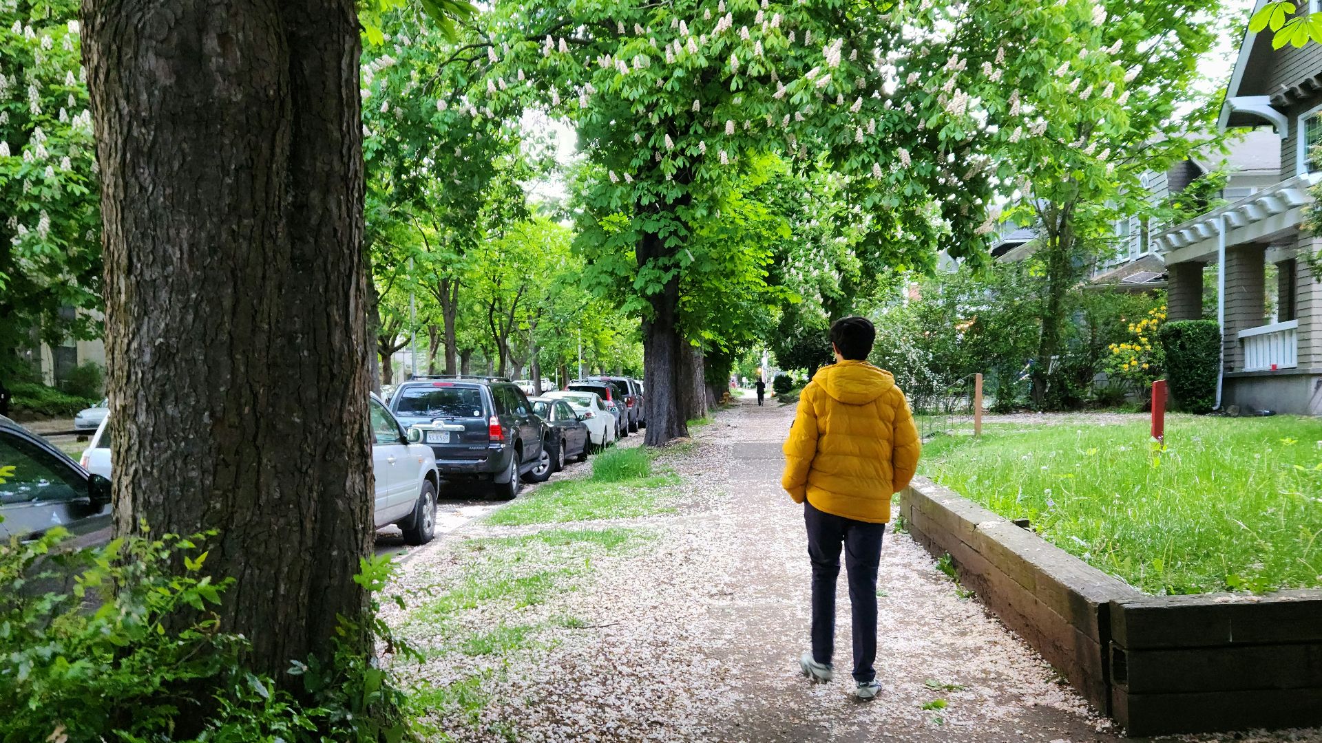 7. Faites une petite promenade