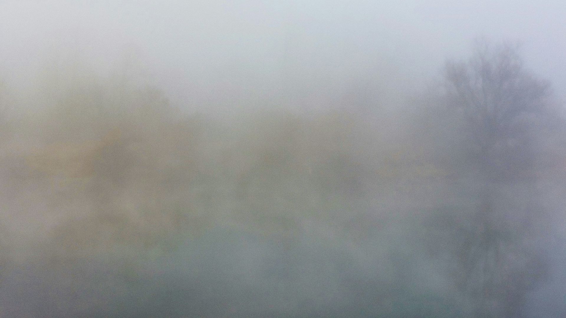 19. Moments de brouillard cérébral