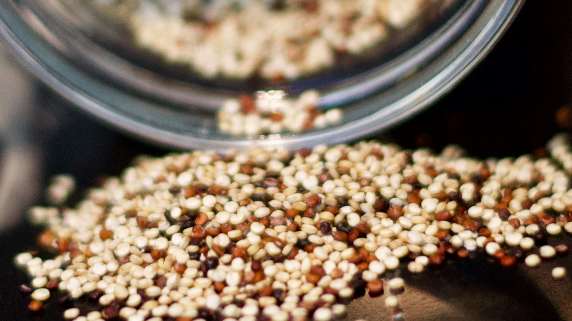 6. Fessiers - Quinoa