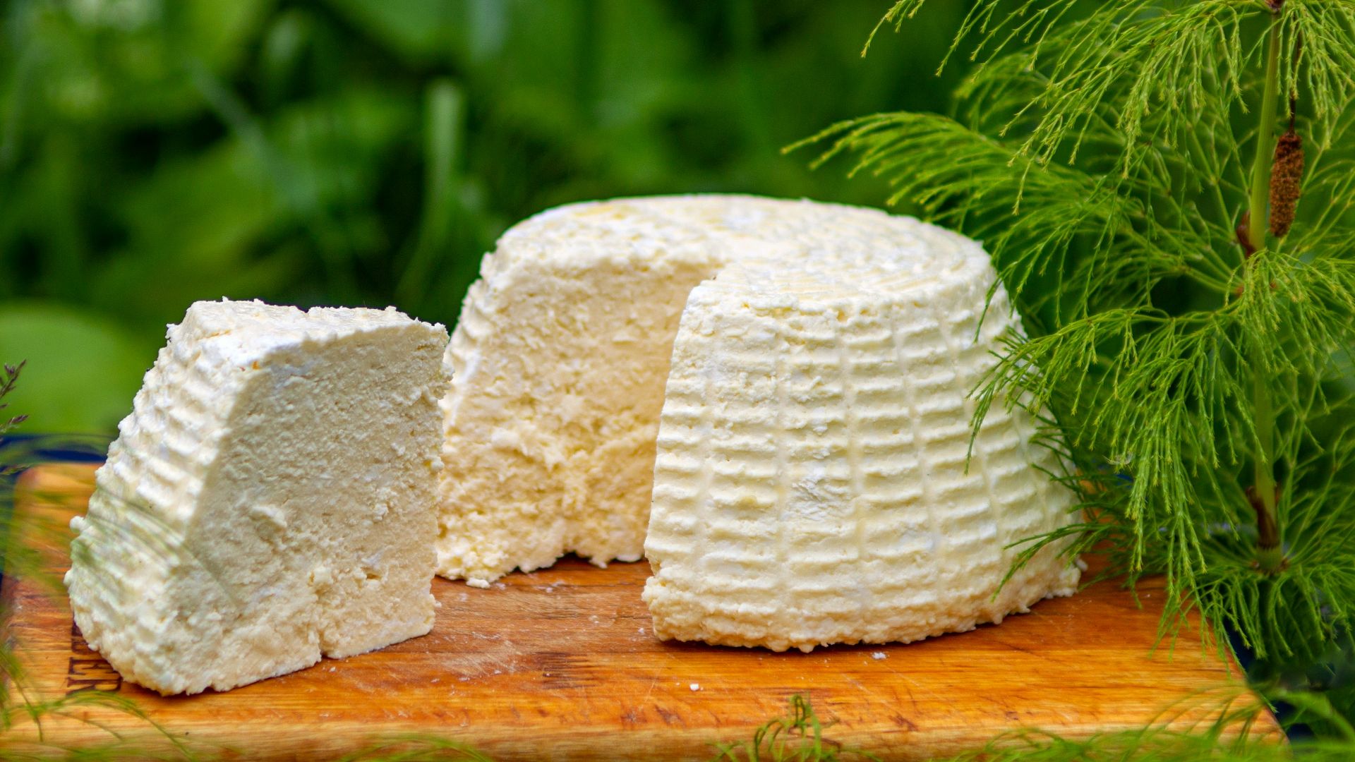 13. Biceps - Fromage cottage