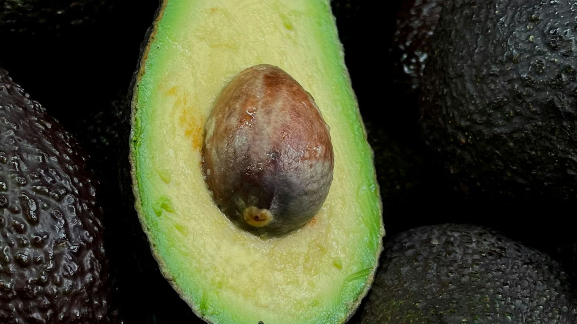 17. Obliques - Avocat