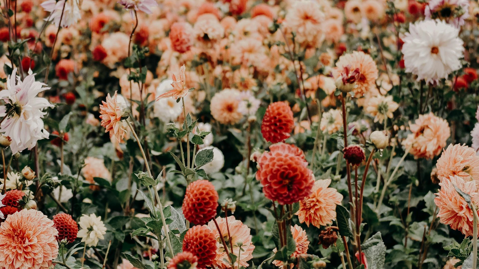 20. Gardez des fleurs fraîches ou un détail inspiré des fleurs