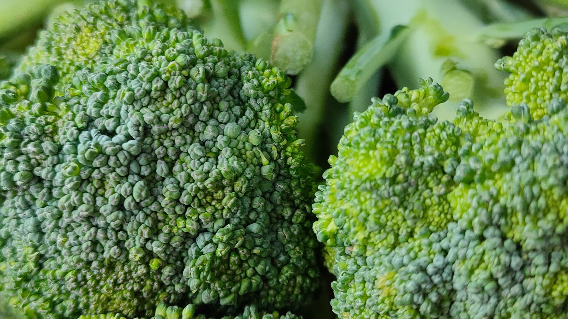6. Brocoli