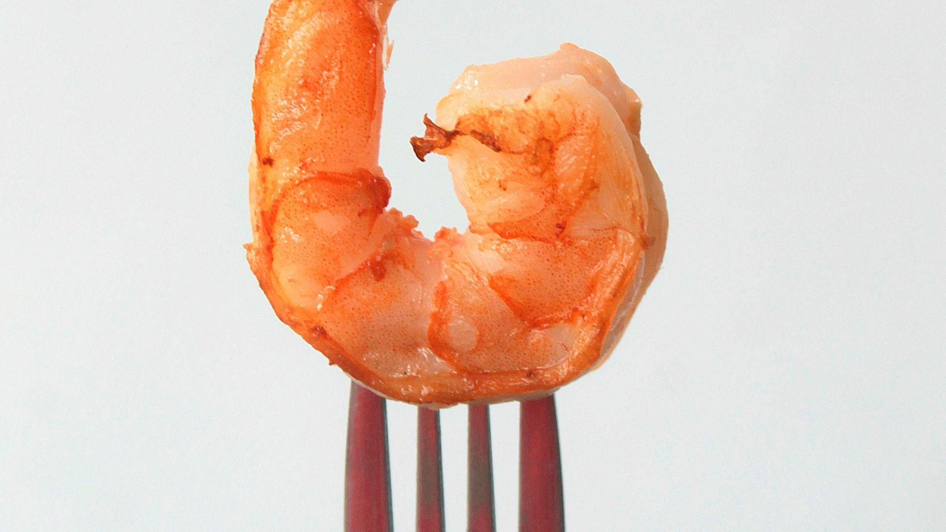 19. Crevettes
