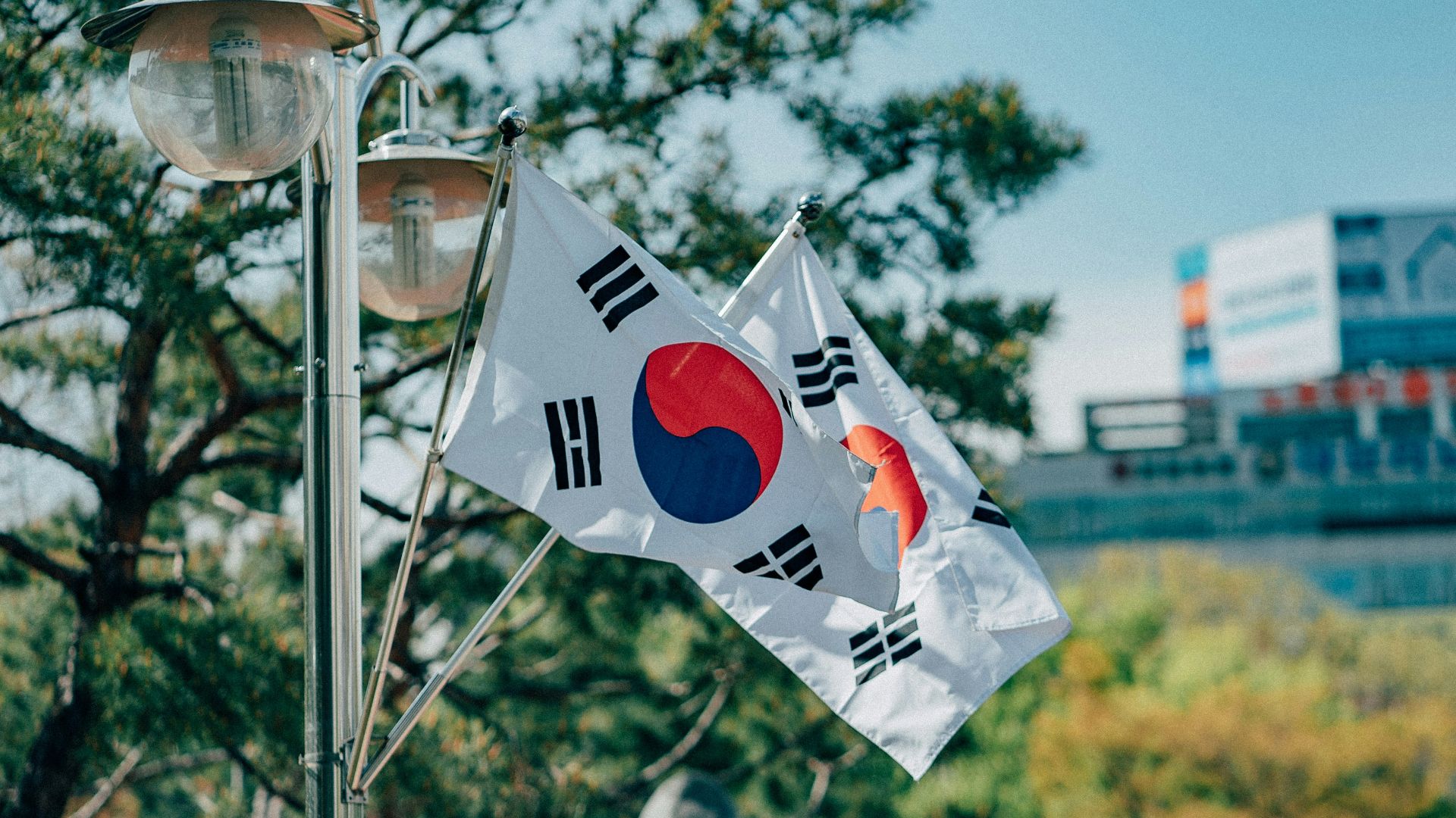 15. La Corée du Sud a survécu à un effondrement quasi total