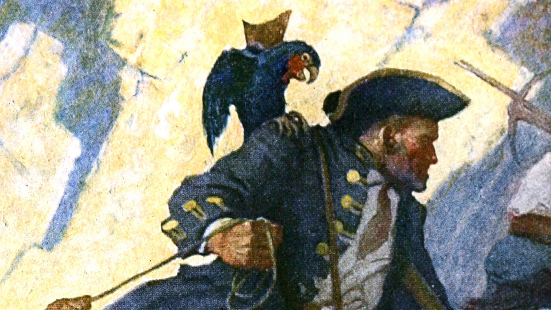 4. Perroquets d'épaule