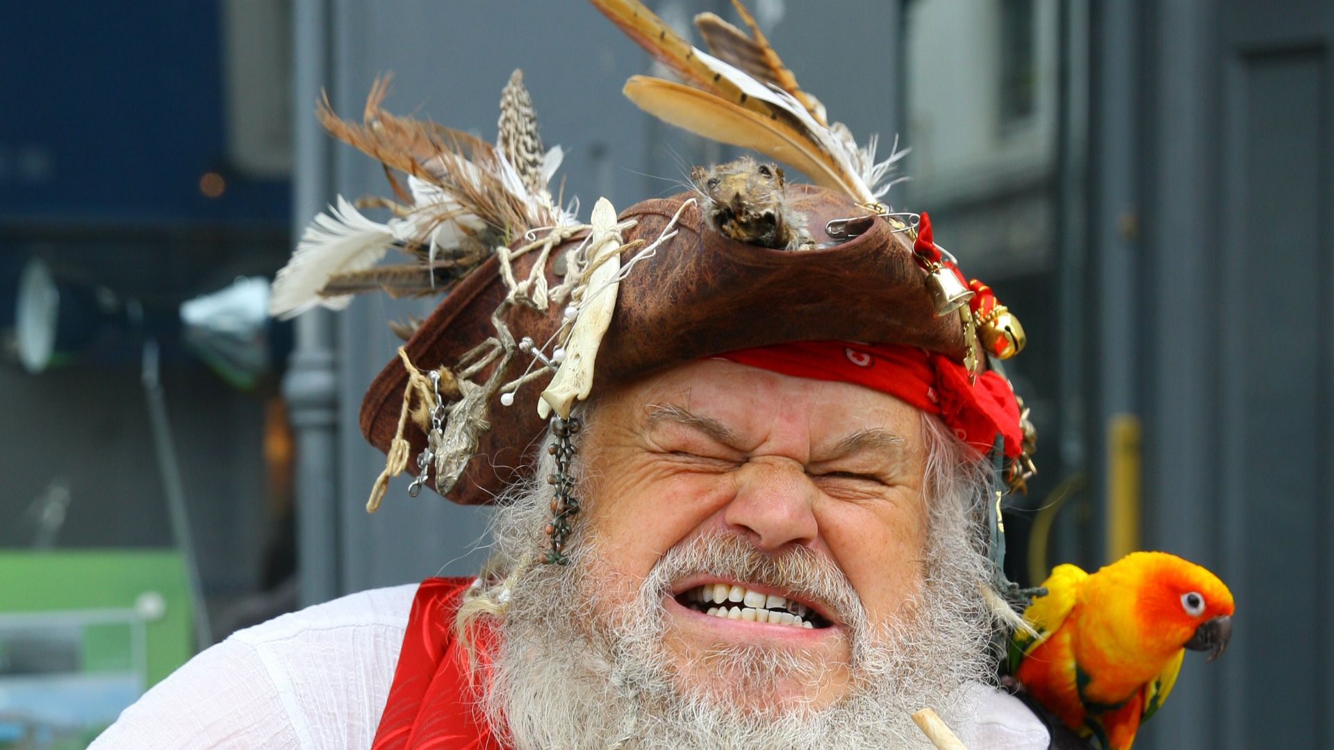 7. De vieux pirates grisonnants