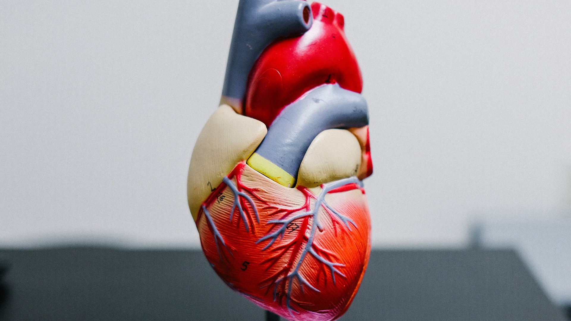 7. Favorise la santé cardiaque