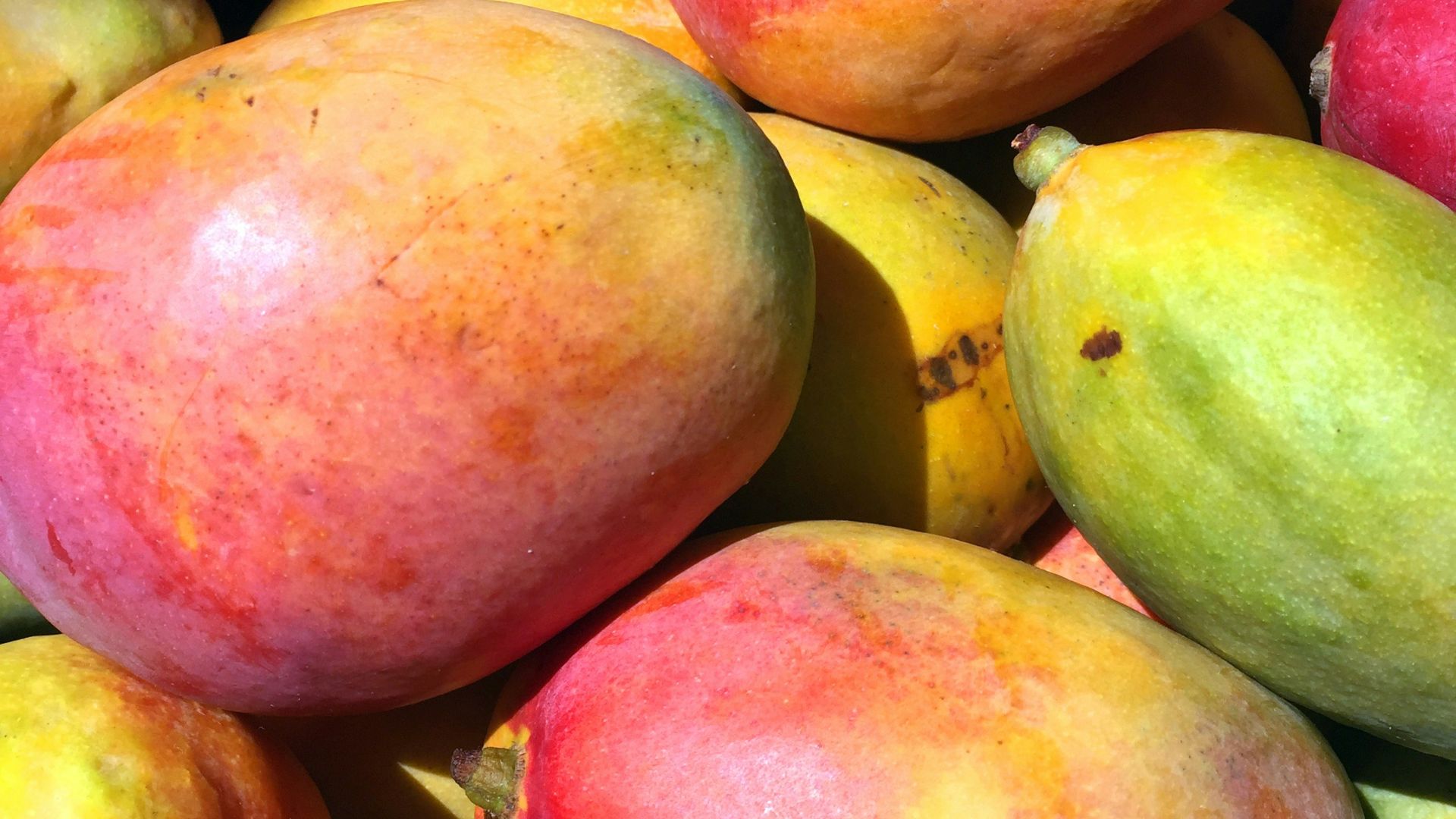 1. Mangue