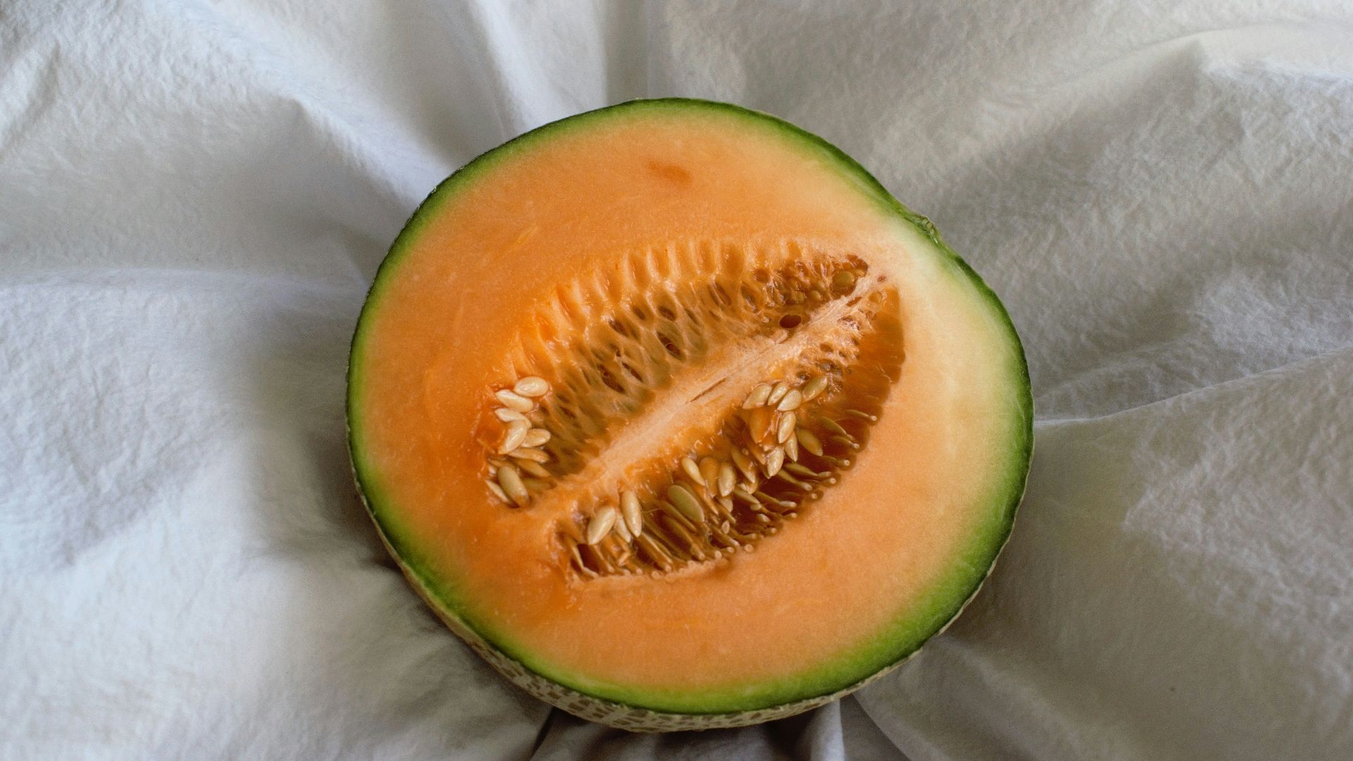 8. Le cantaloup