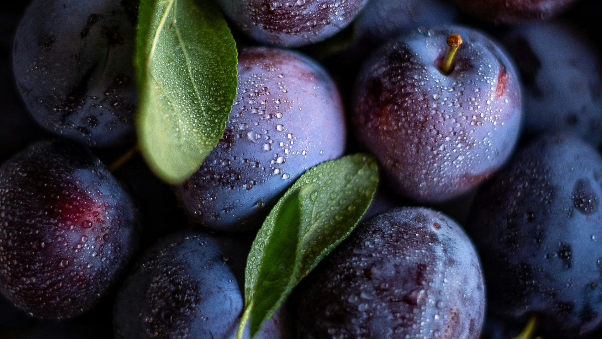 11. Prune