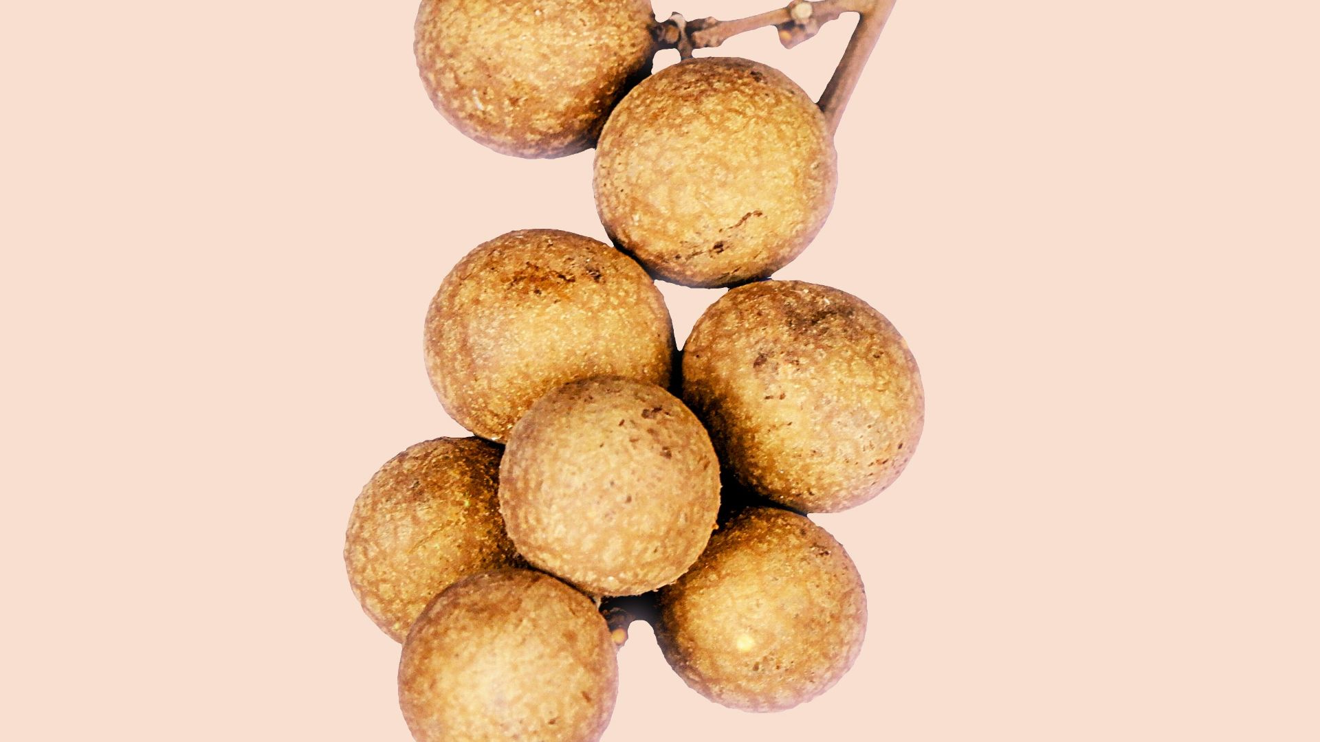 16. Longane