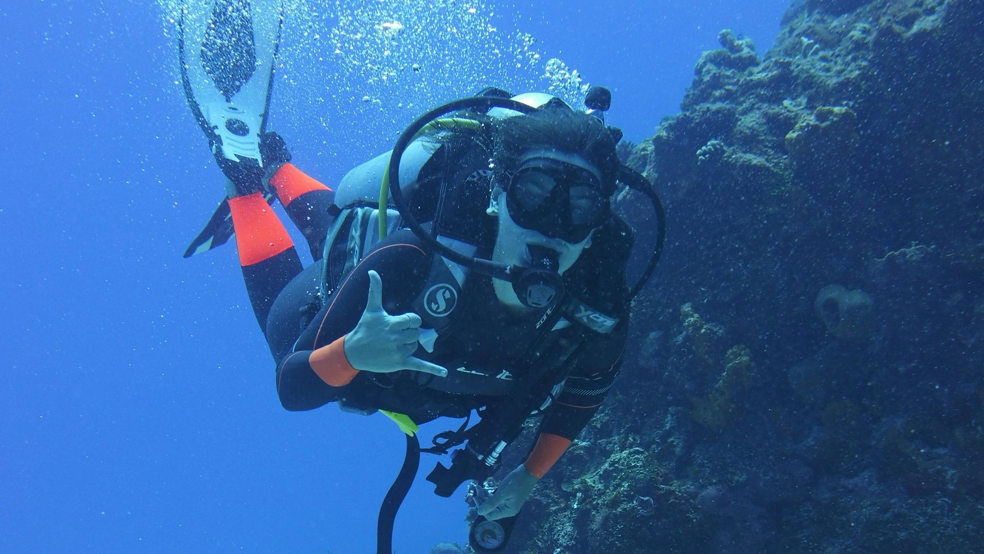 11. Plongée sous-marine dans les récifs coralliens