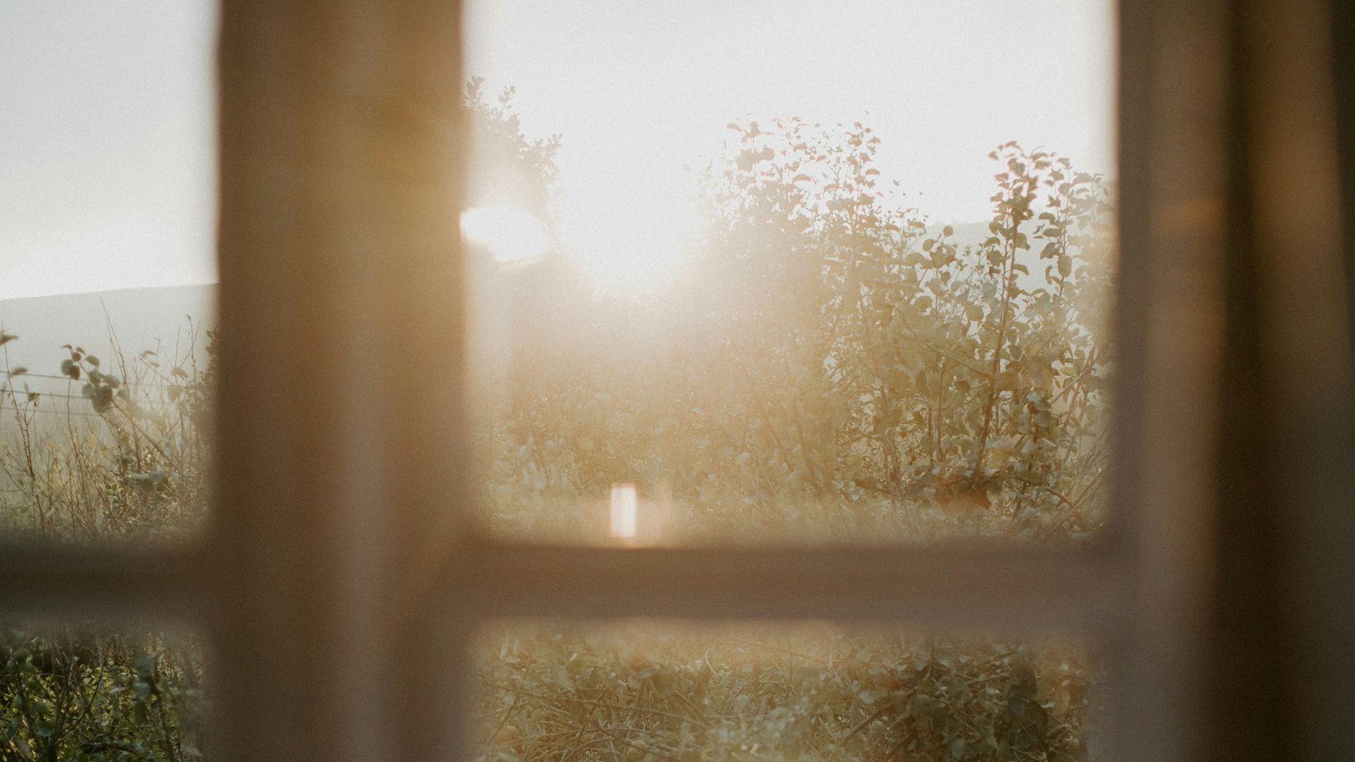 10. Pas assez de lumière et d'activité physique le matin