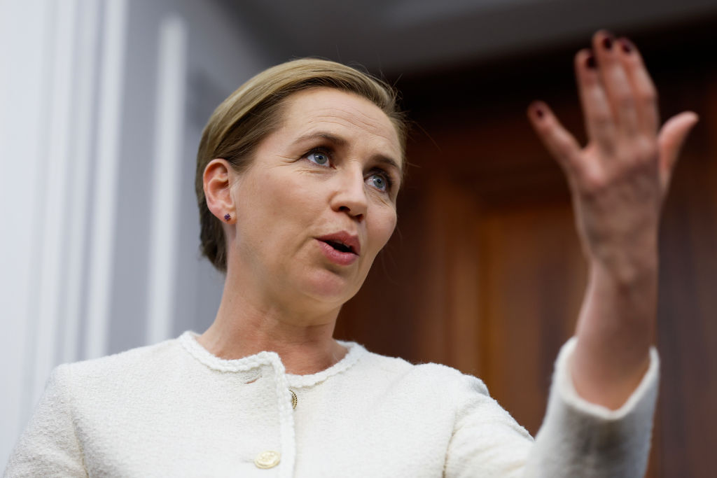 Danish lawmakers question motives
