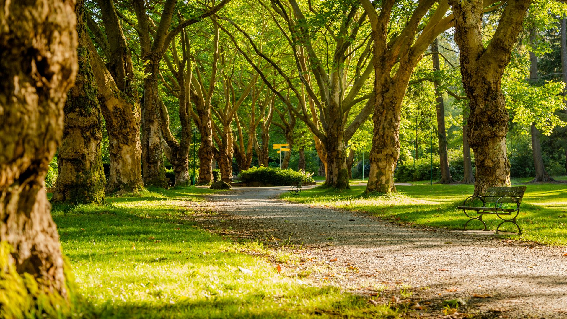 17. Parcs et espaces verts