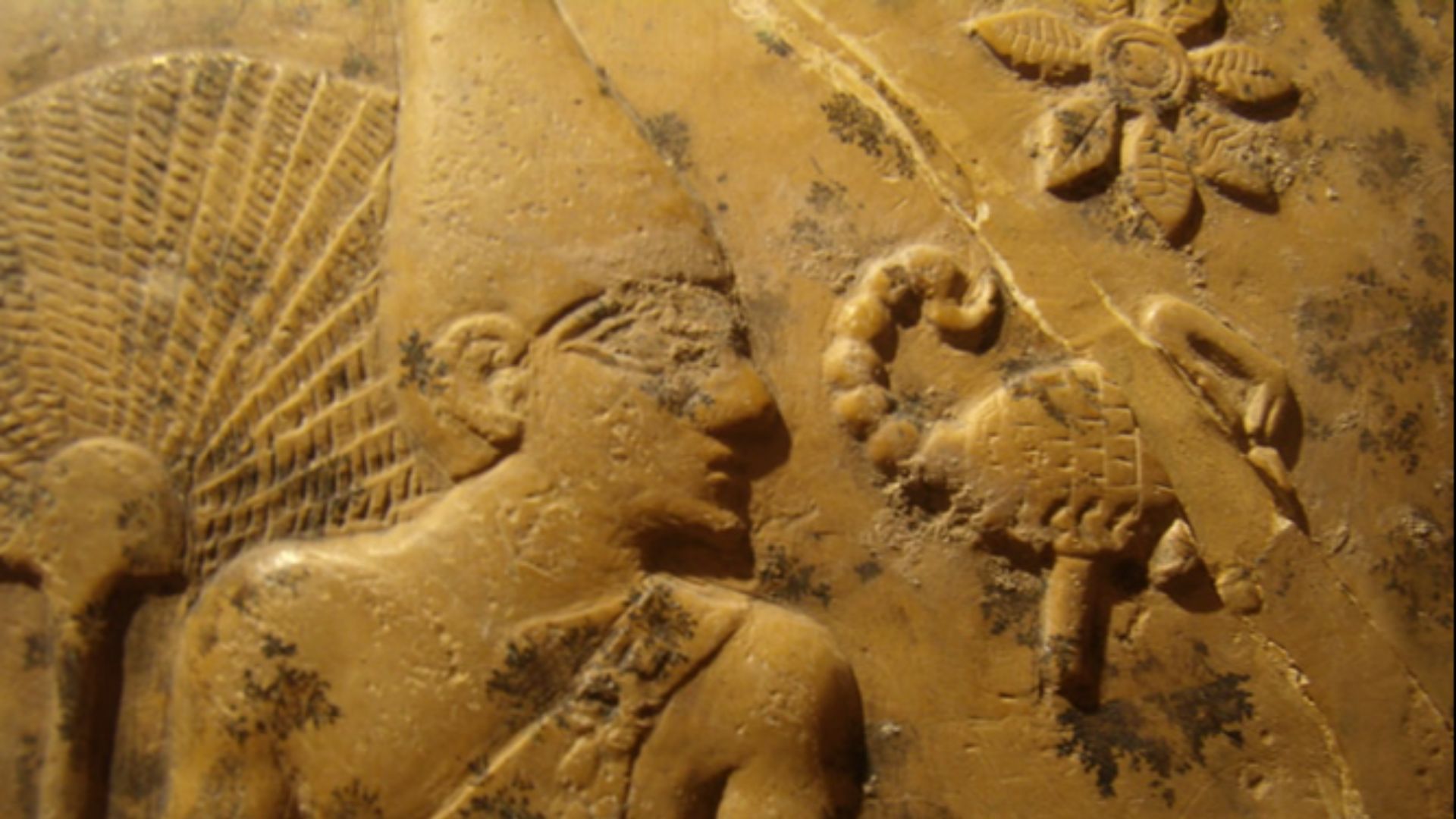 13. Le roi Scorpion II d'Égypte