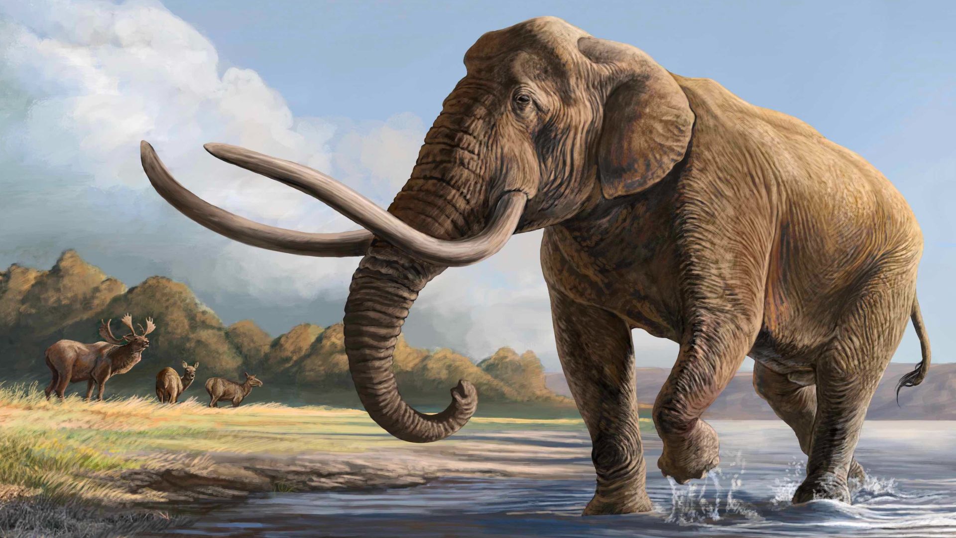 Les 20 plus grands animaux préhistoriques de toute l’histoire