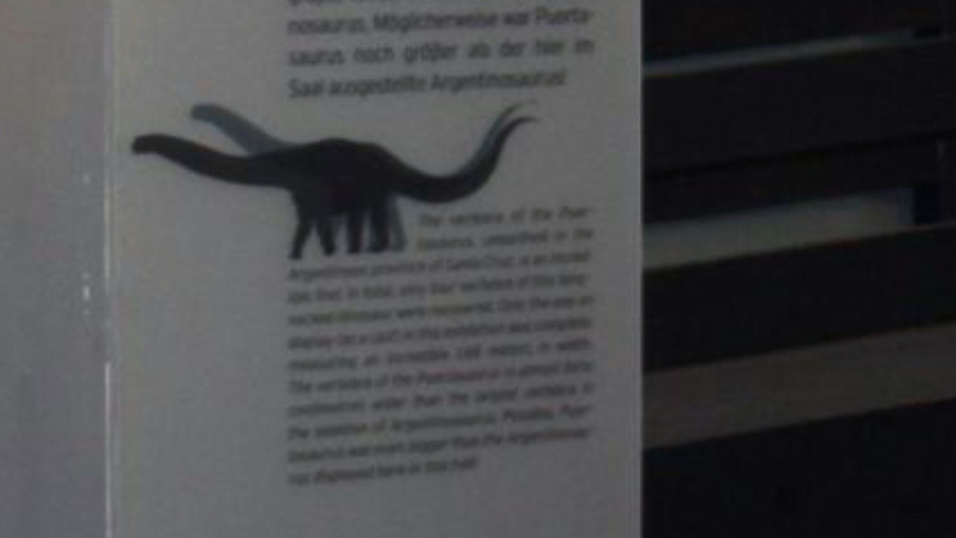 6. Puertasaurus Reuili