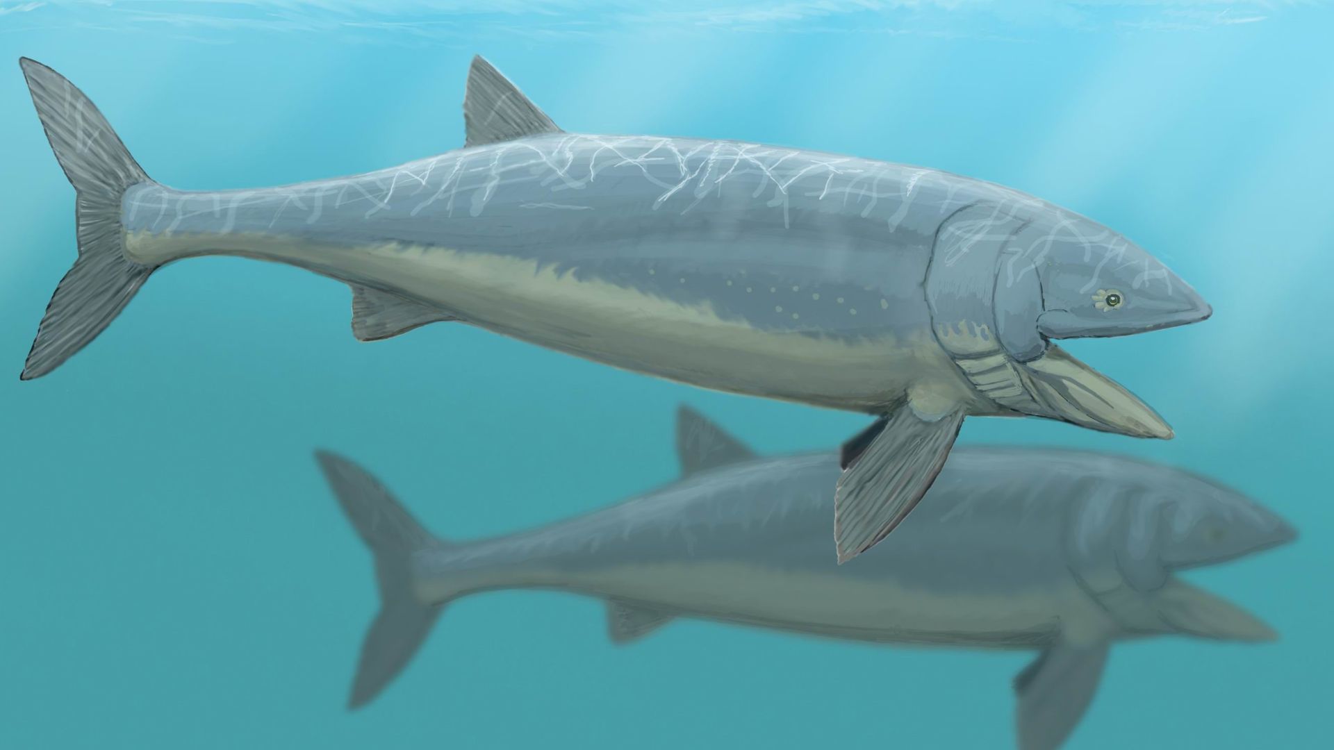 10. Leedsichthys Problematicus