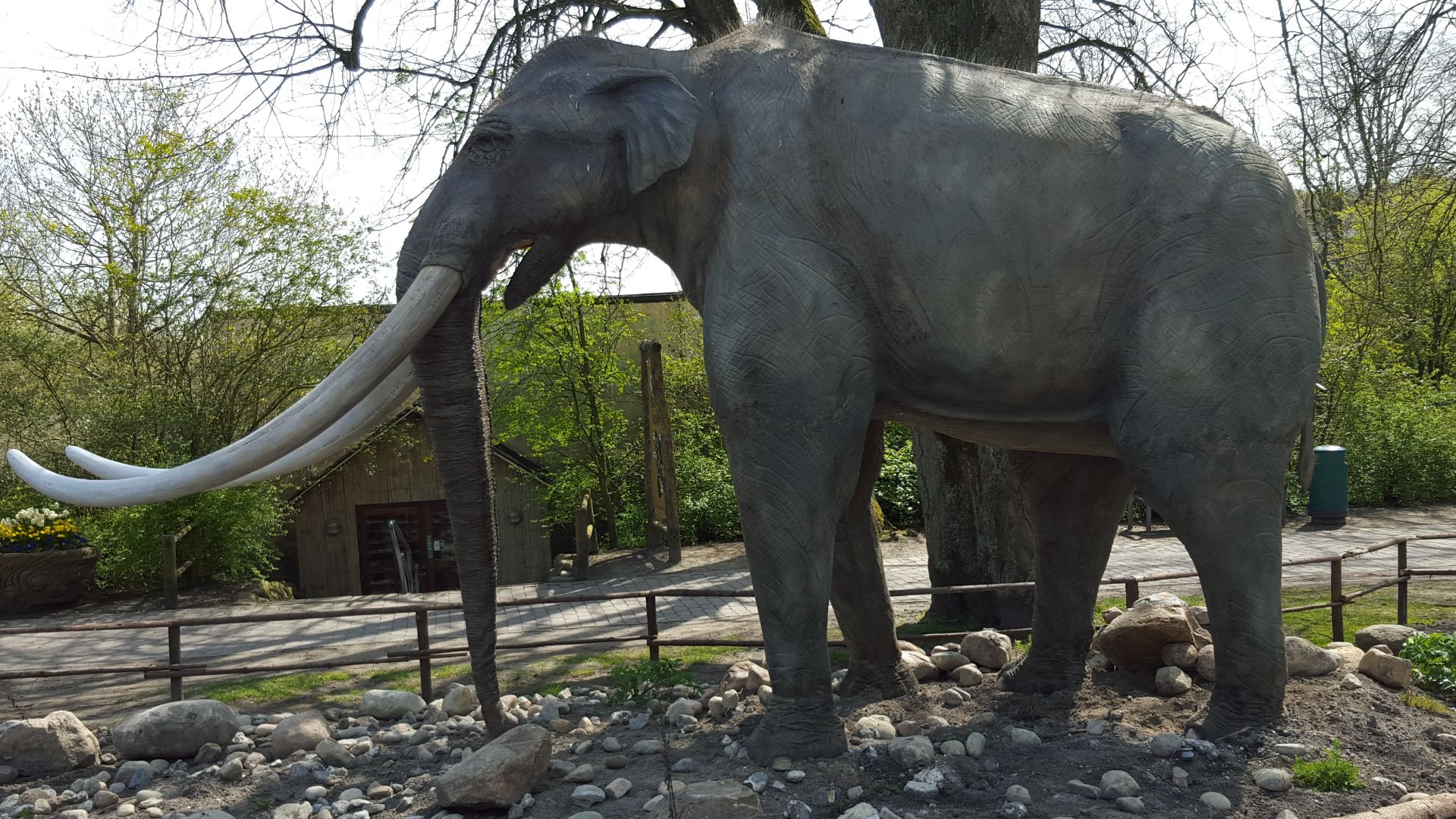 13. Palaeoloxodon Namadicus