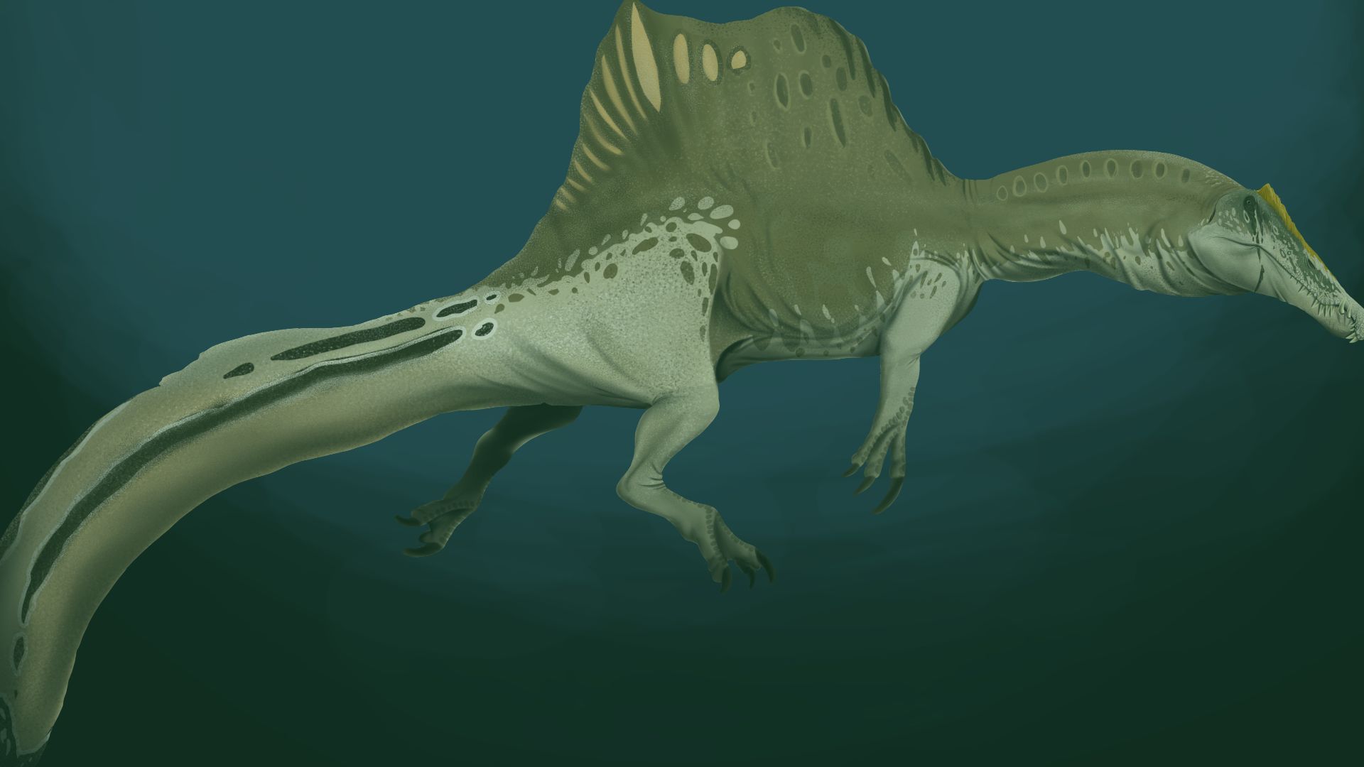 15. Spinosaurus Aegyptiacus