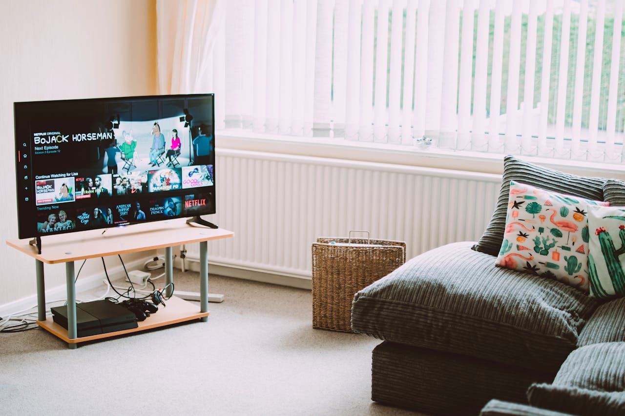 The television