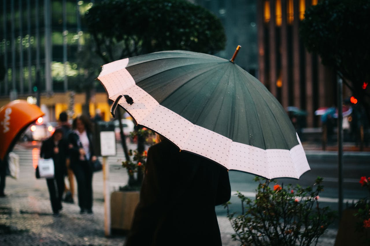 The umbrella