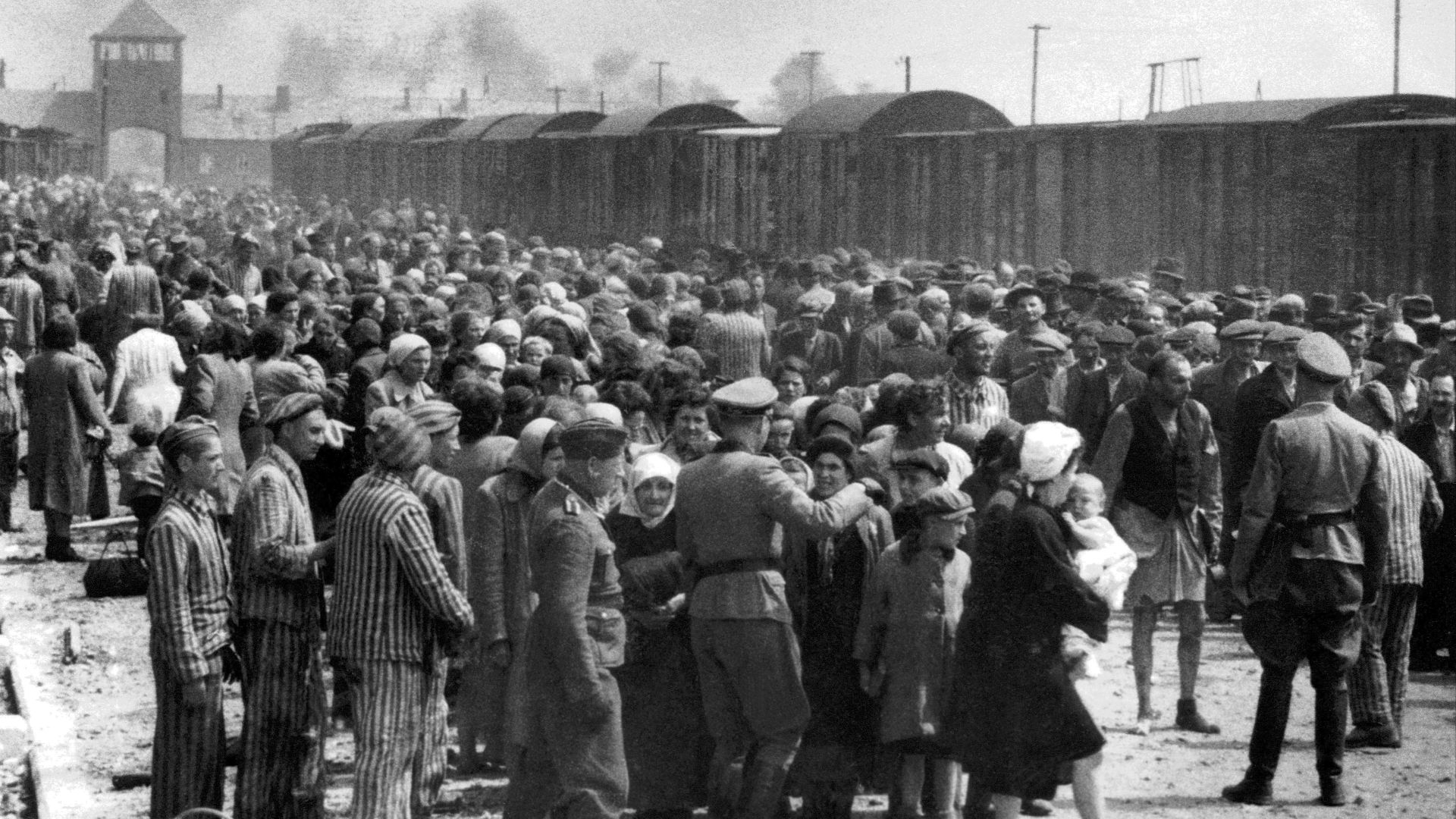 5. L'Holocauste était une réalité systématique, soutenue par l'État.
