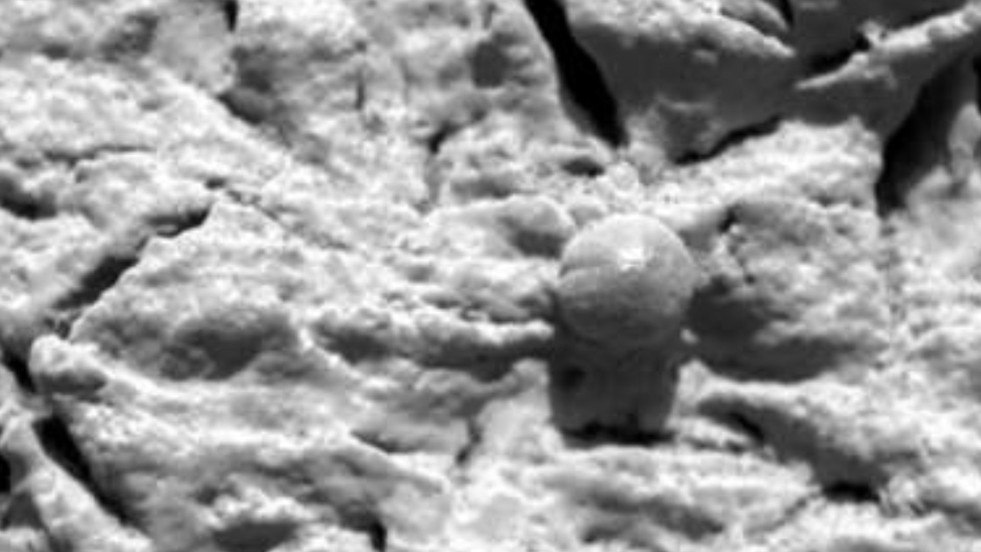 16. De minuscules sphérules apparaissent