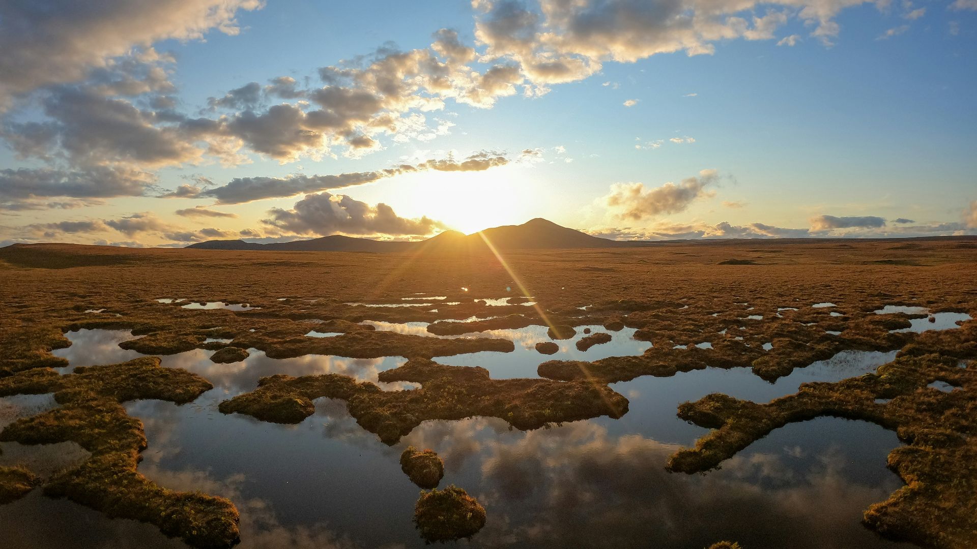 15. Les tourbières sont devenues des coffres-forts de preuves