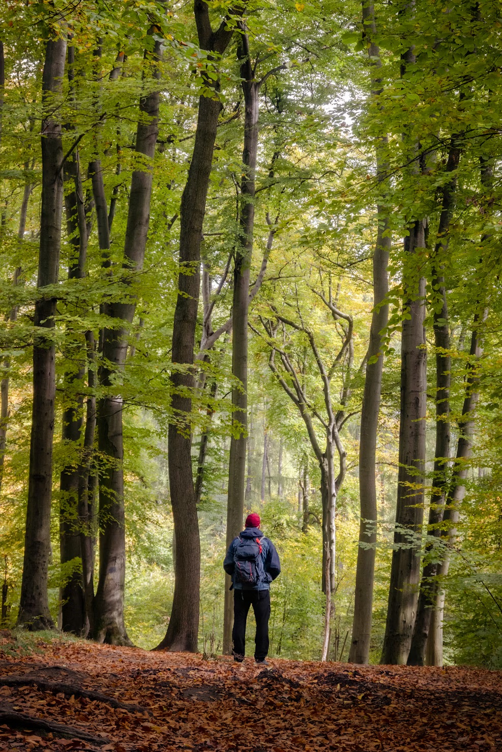 Take walks in nature