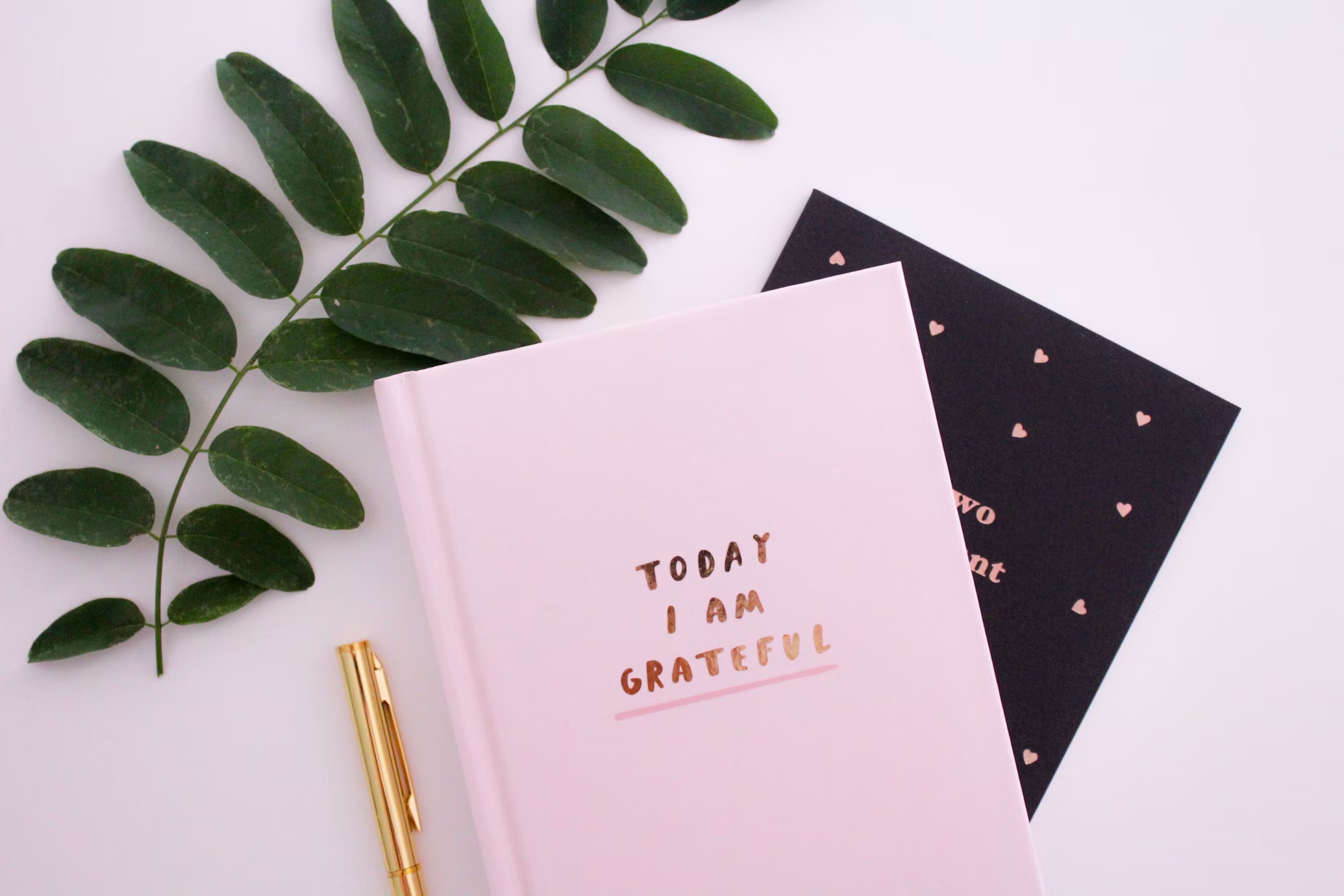 Keep a gratitude journal