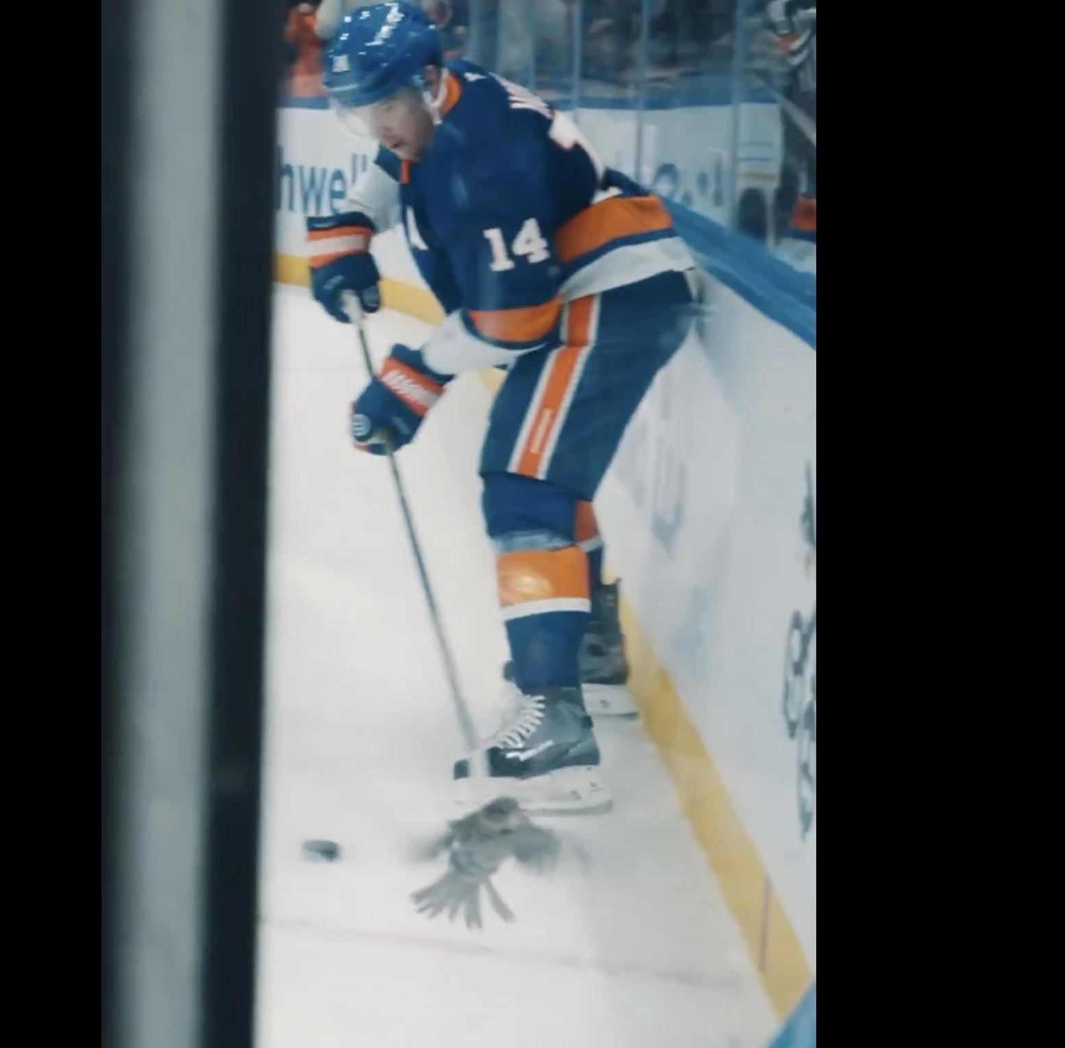 Top 5: Bo Horvat crashes into a bird during the game