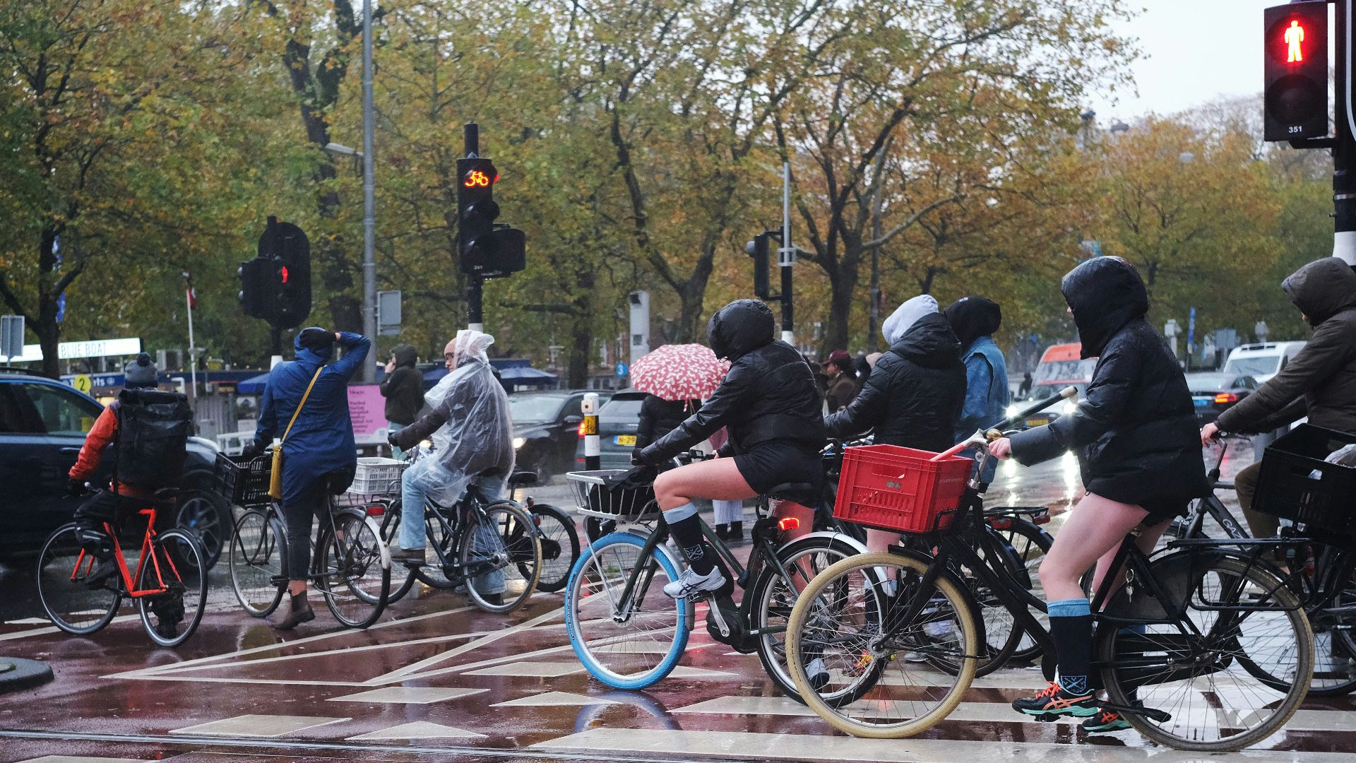 18. Les Pays-Bas conduisent moins souvent