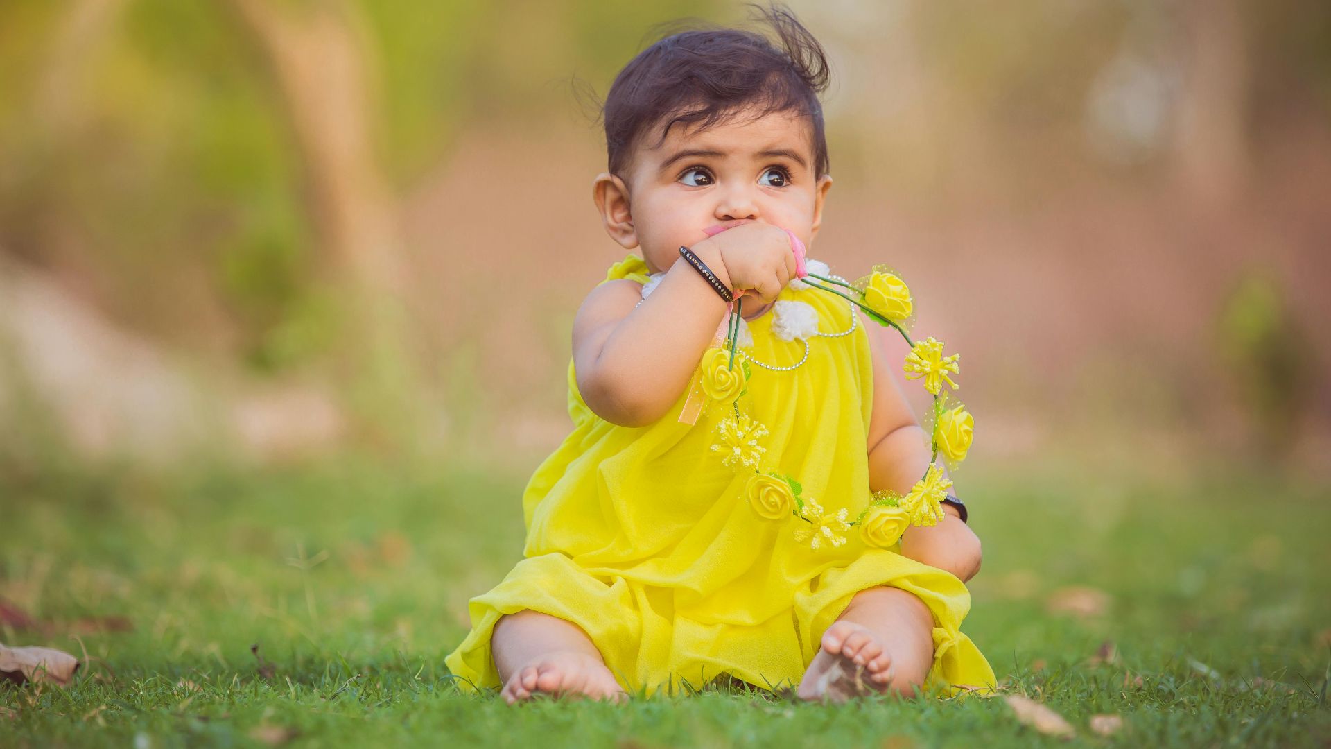 12. Avani