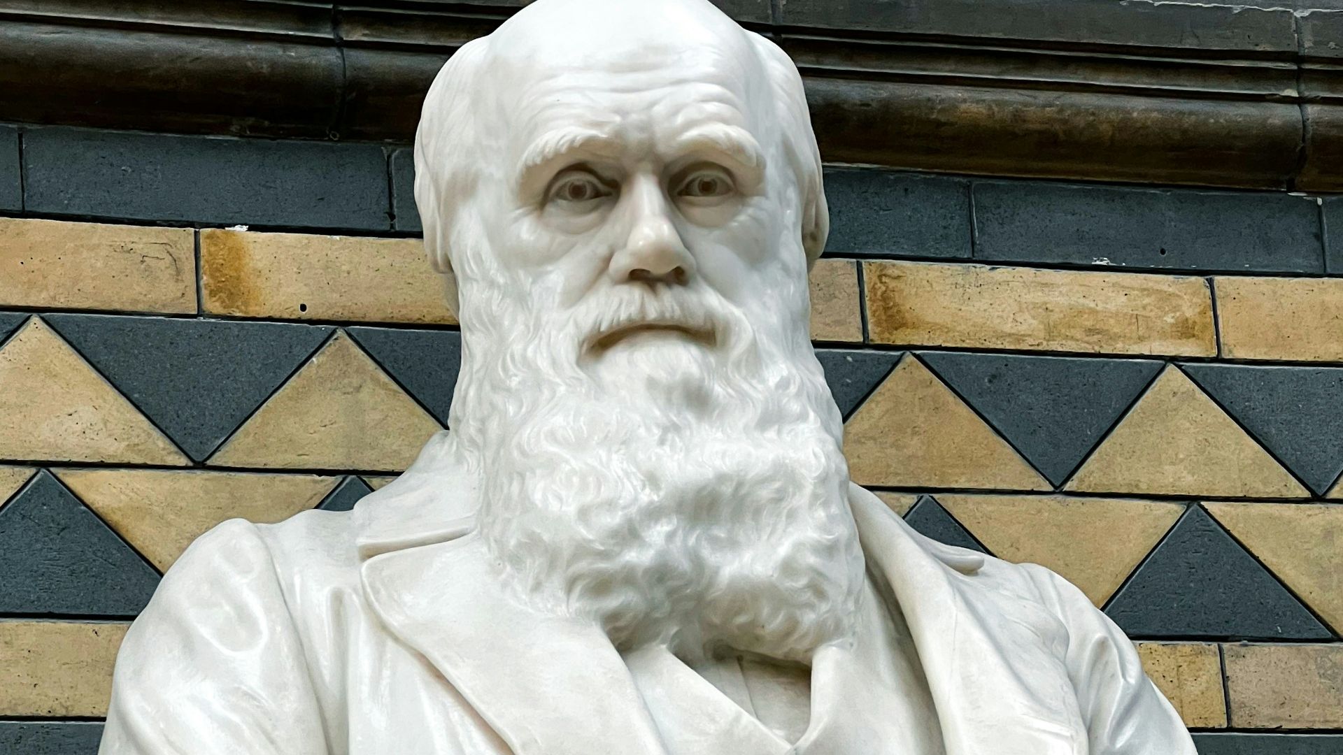 11. Charles Darwin