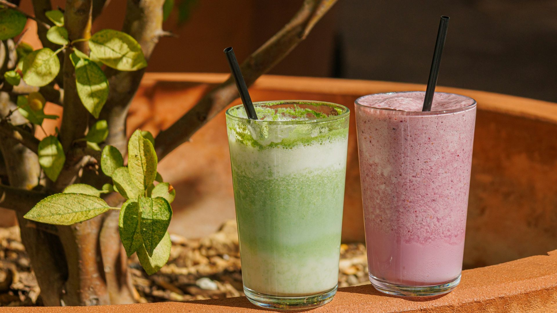 2. Base crémeuse pour les smoothies aux légumes