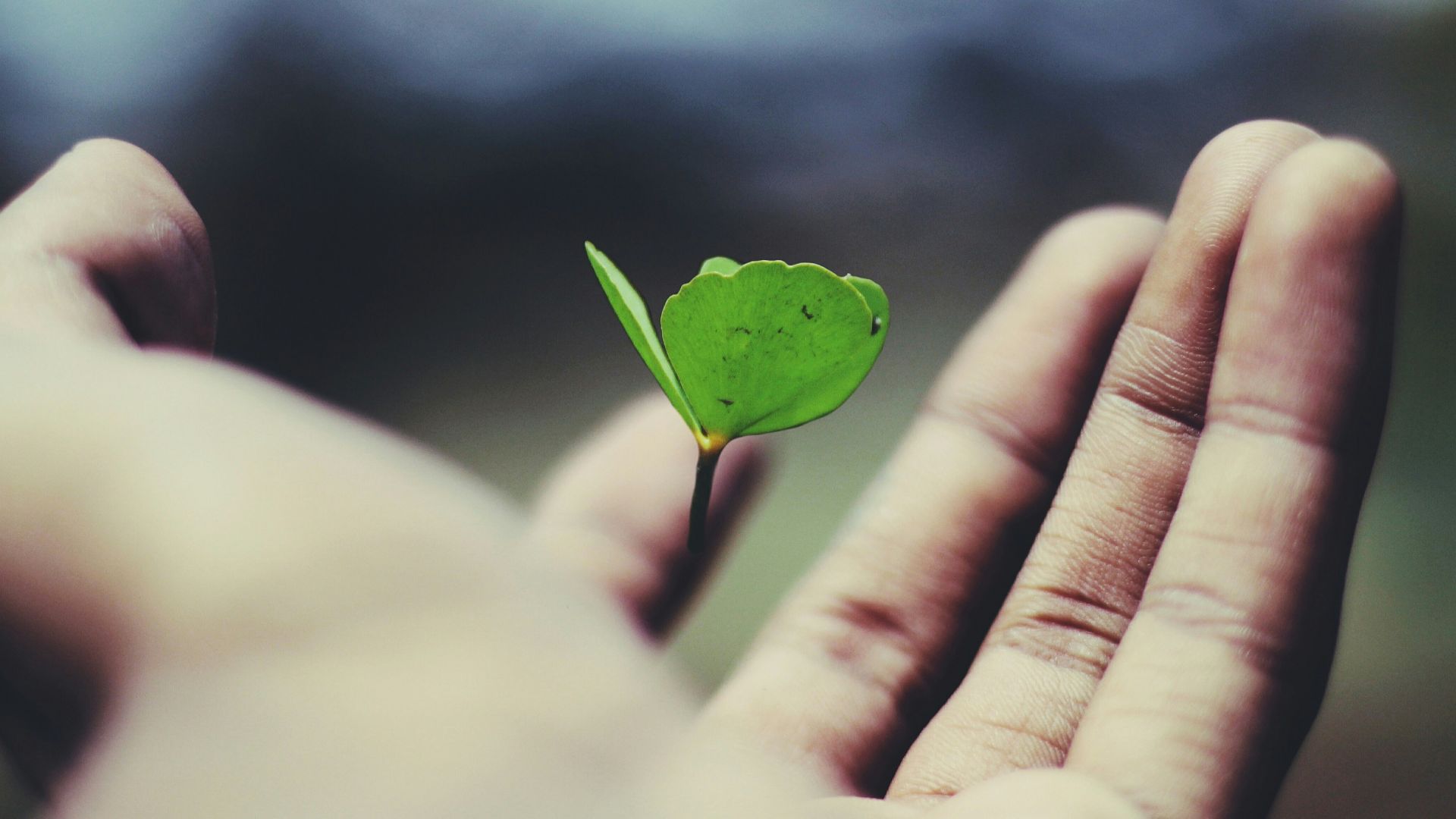 6. Leçons de vie apprises