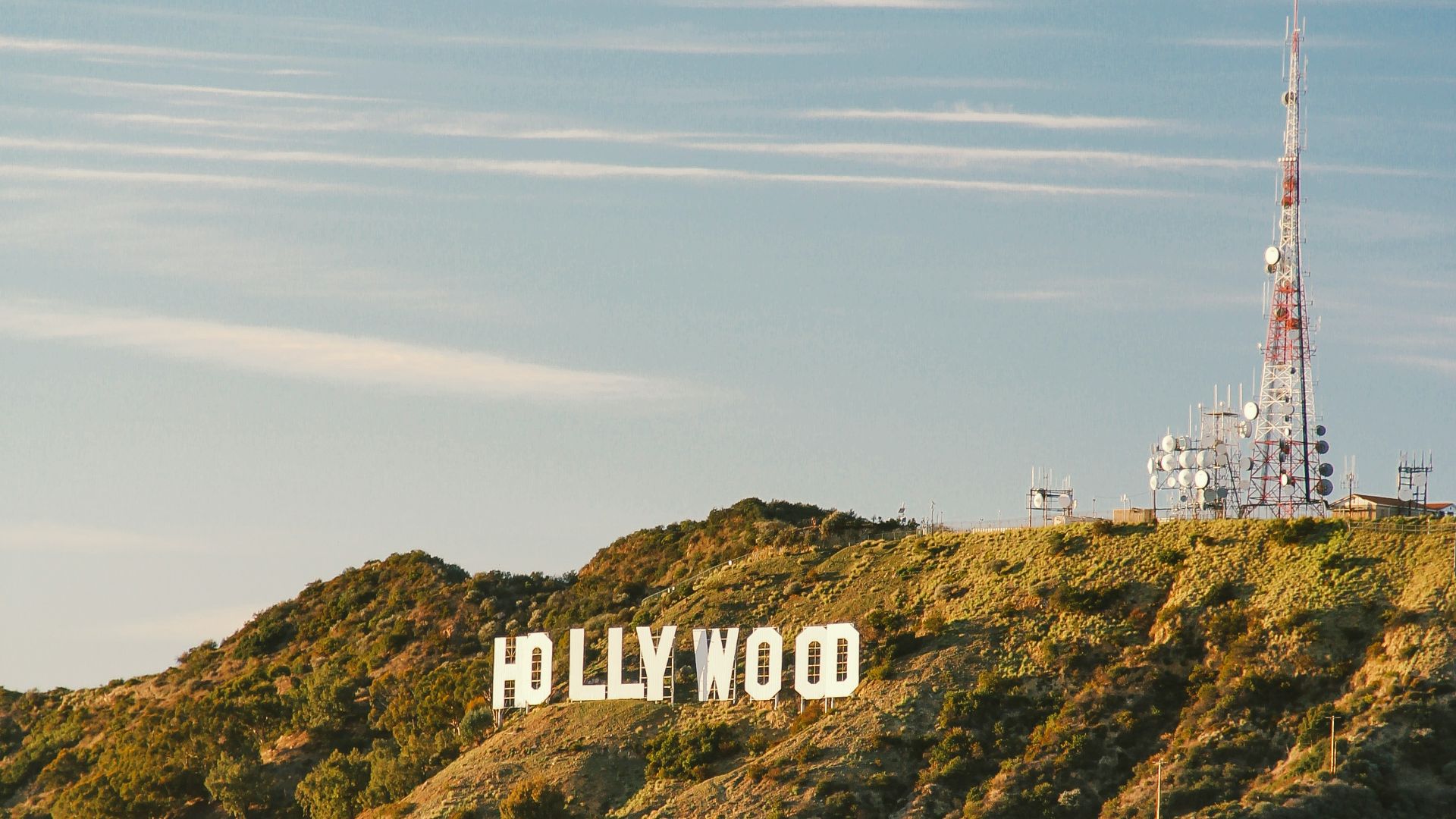 19. Hollyweed sur le panneau Hollywood