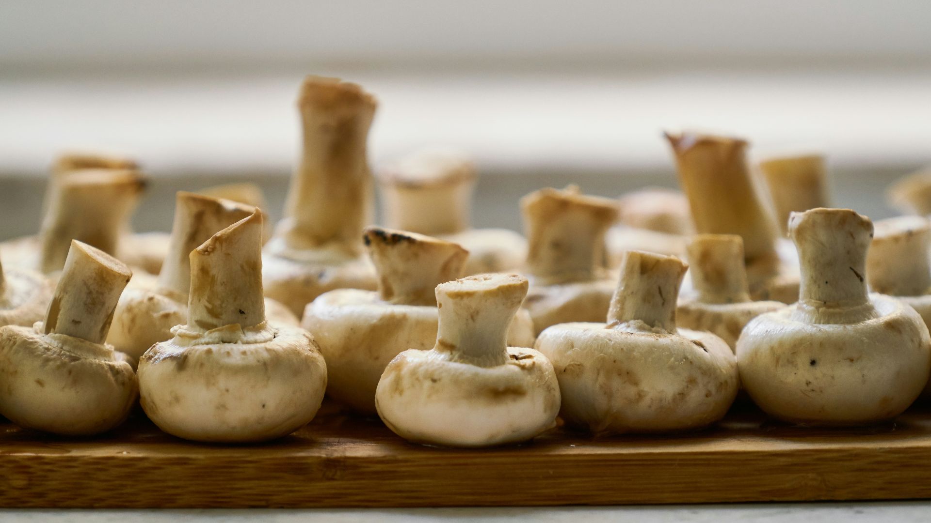 20. Protéines et légumes restants du dîner 