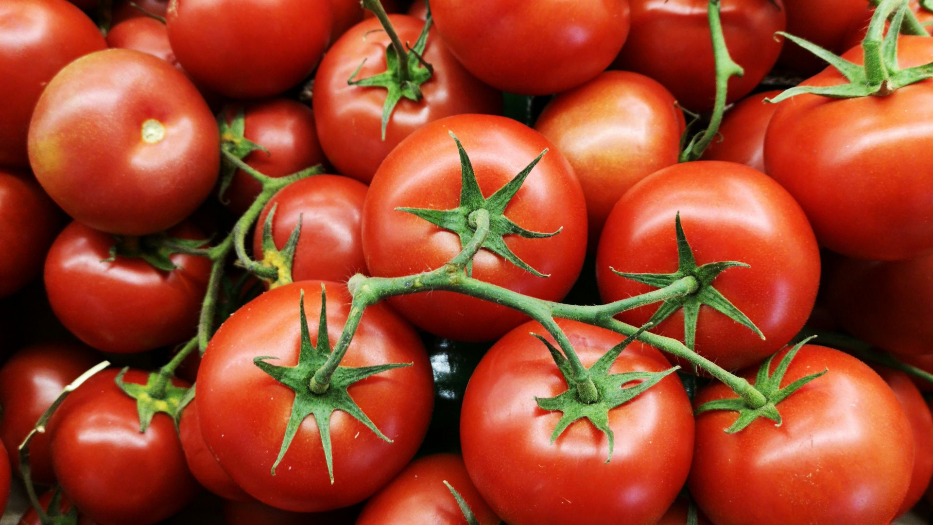 15. Tomates