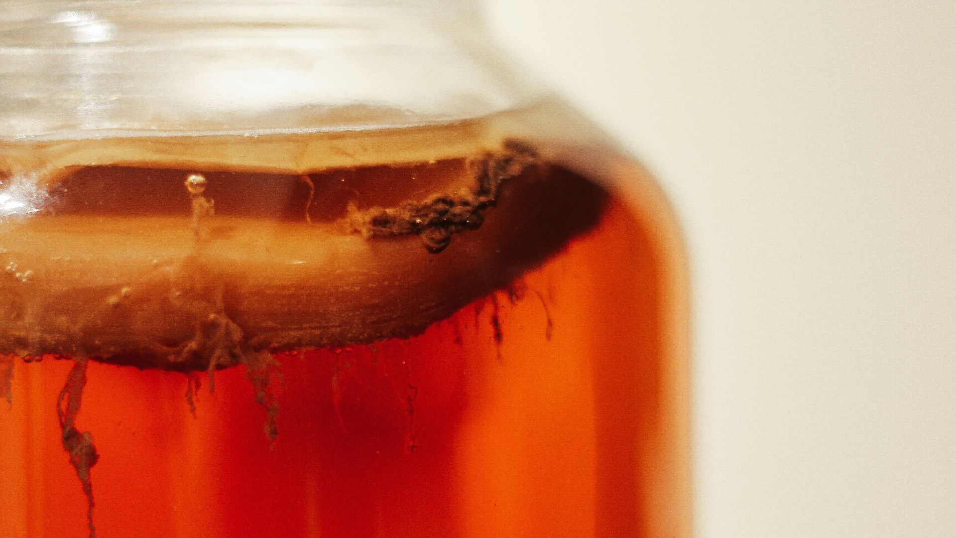 6. Les aliments fermentés réensemencent de manière permanente l'intestin
