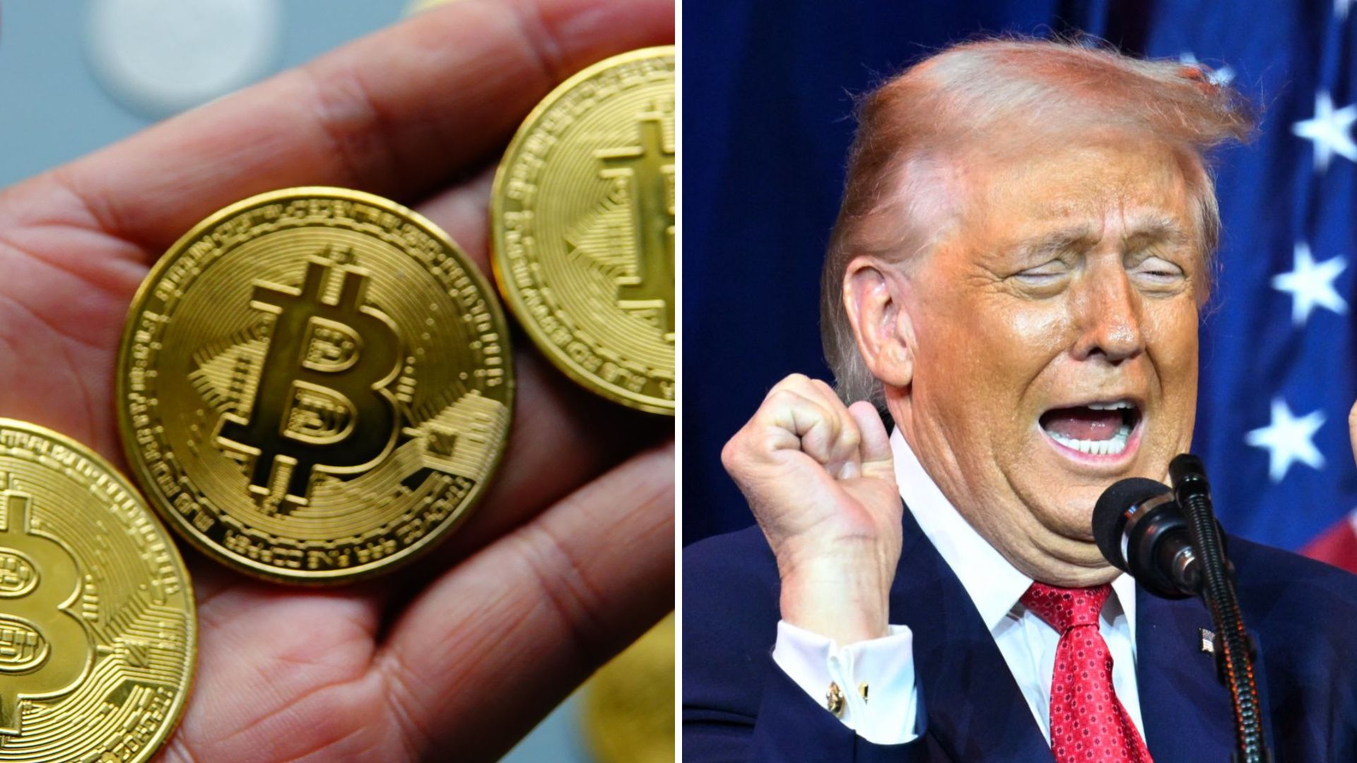 Le Bitcoin a chuté de 44%, effondrement de l’effet Trump